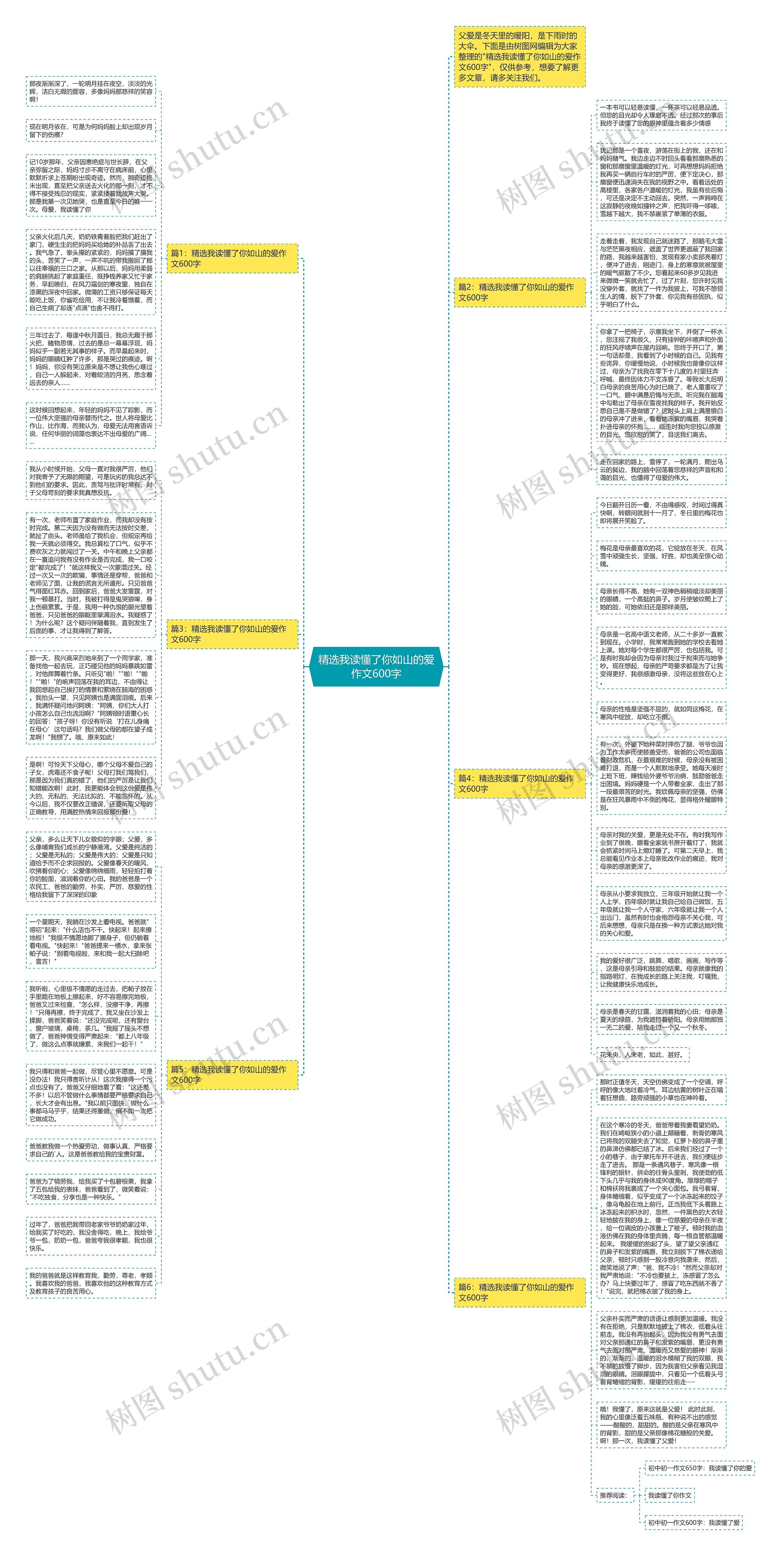 精选我读懂了你如山的爱作文600字思维导图