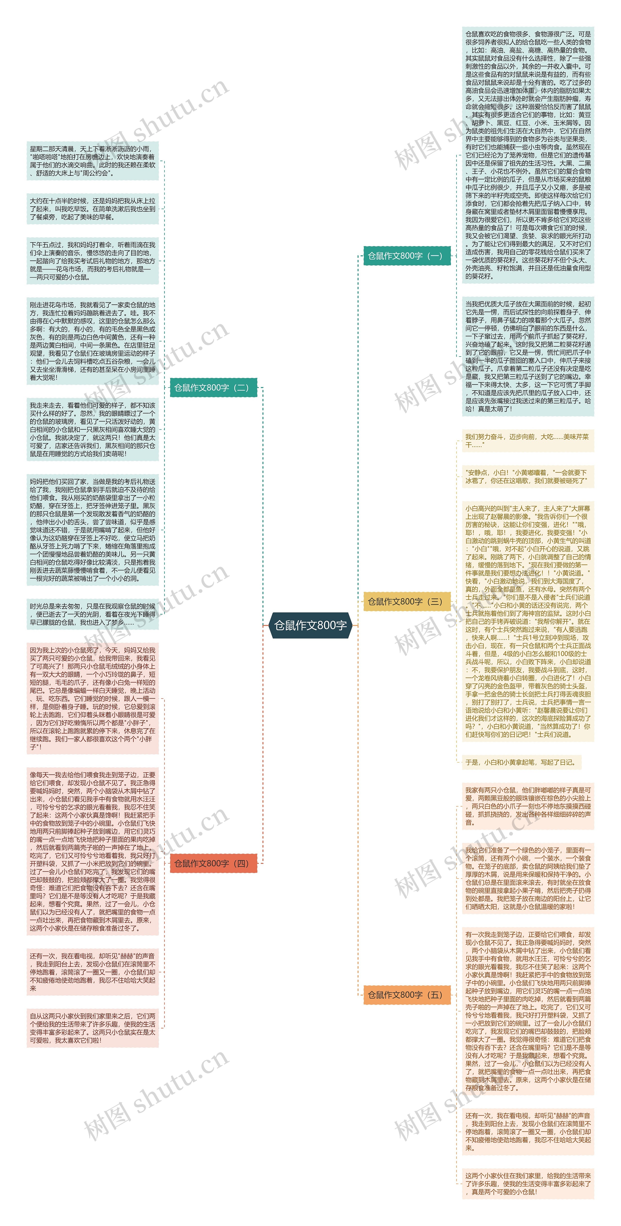 仓鼠作文800字思维导图