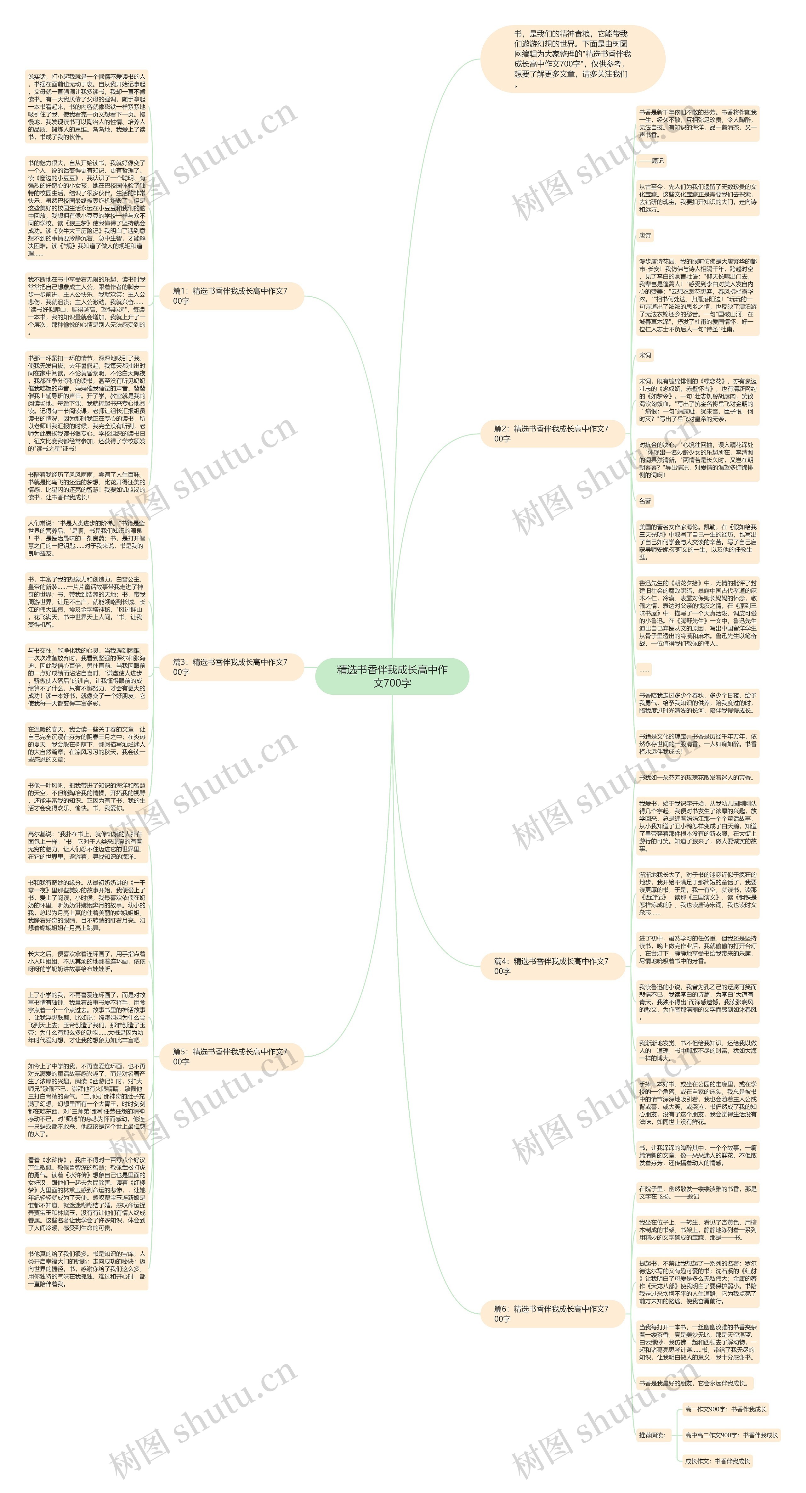 精选书香伴我成长高中作文700字思维导图