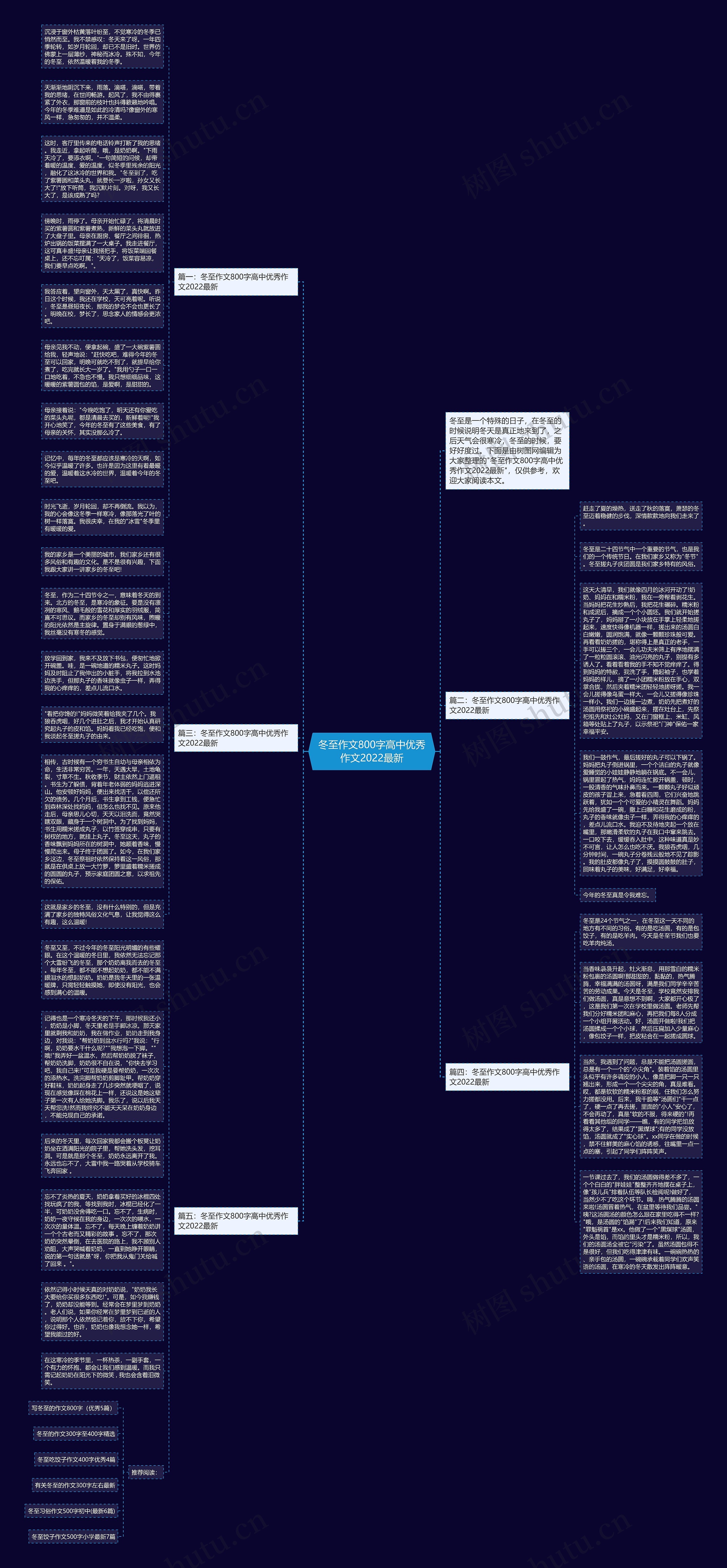 冬至作文800字高中优秀作文2022最新思维导图