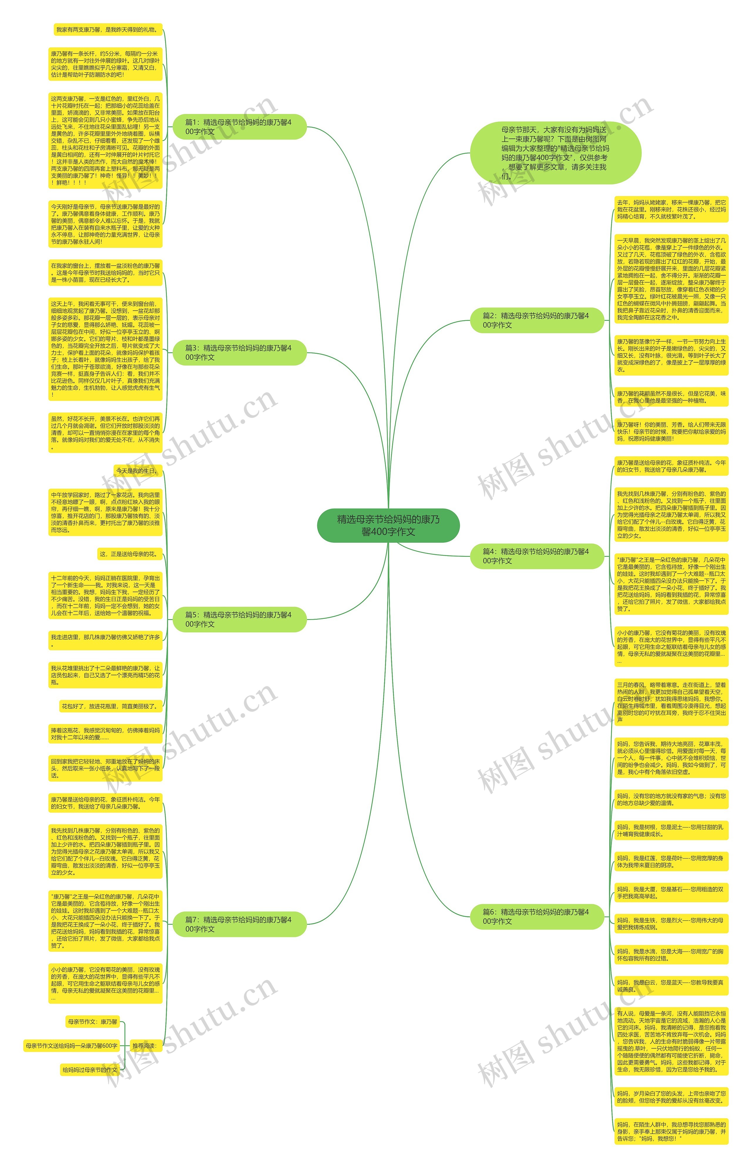 精选母亲节给妈妈的康乃馨400字作文思维导图