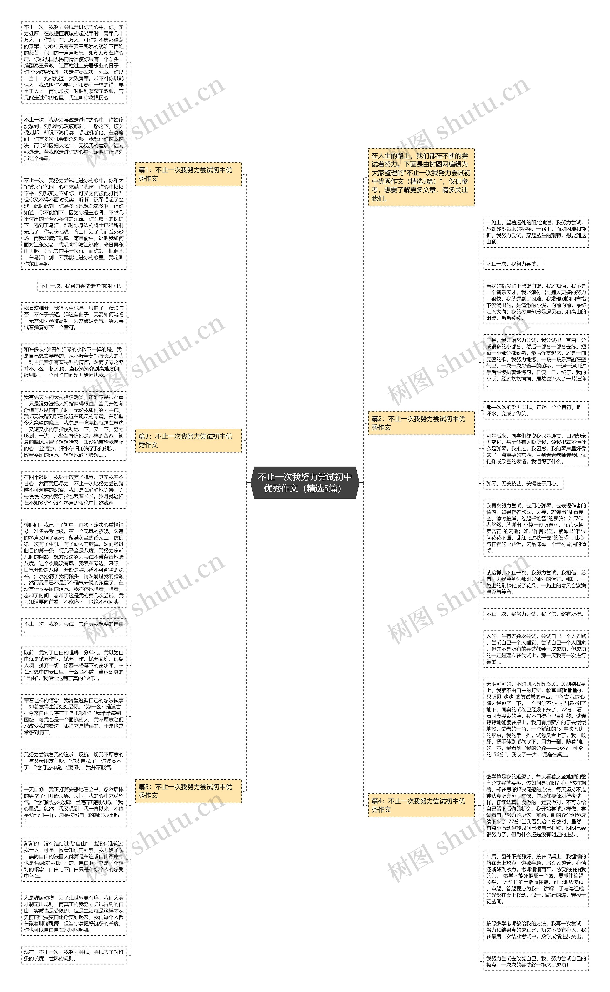 不止一次我努力尝试初中优秀作文（精选5篇）思维导图