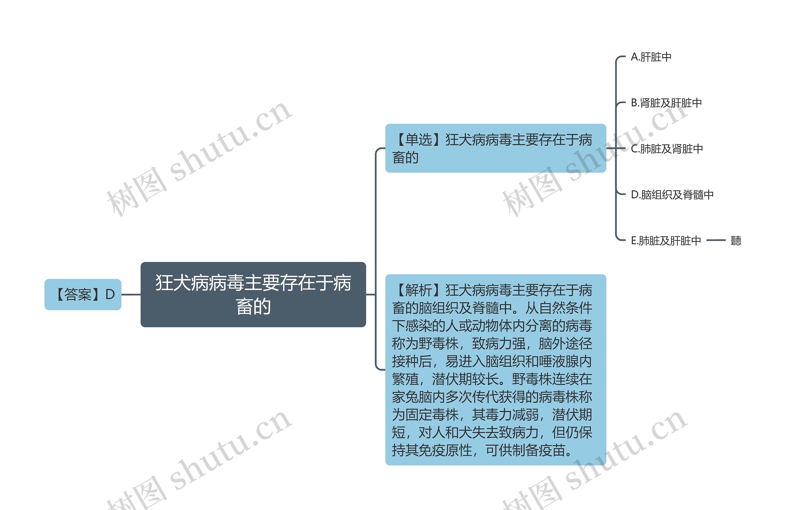 狂犬病病毒主要存在于病畜的思维导图