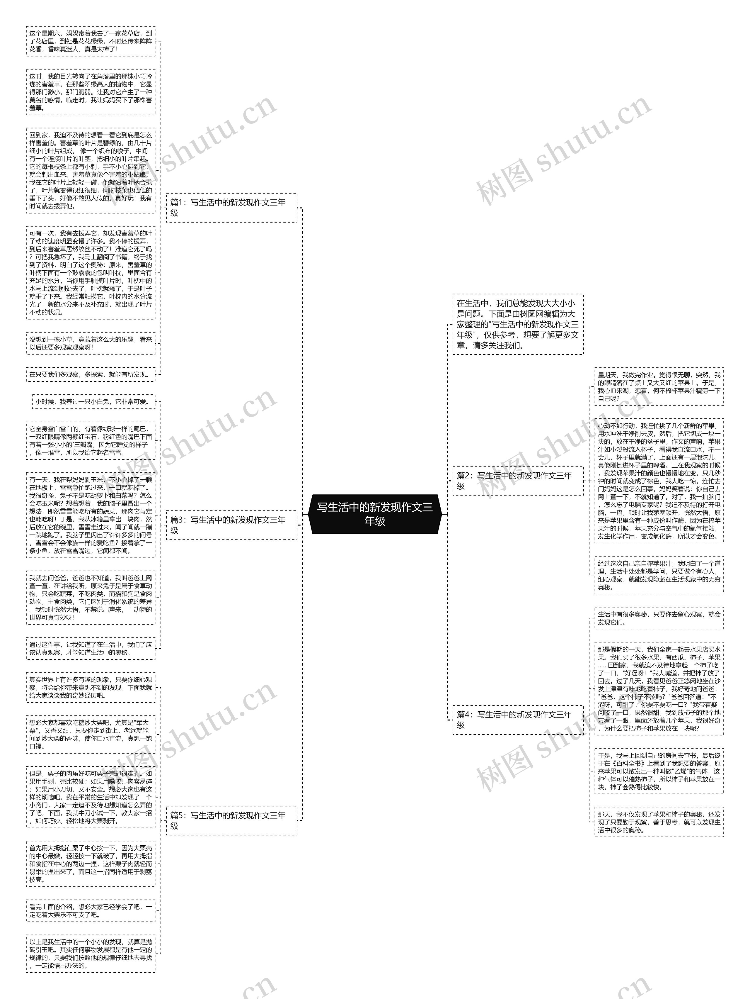 写生活中的新发现作文三年级思维导图