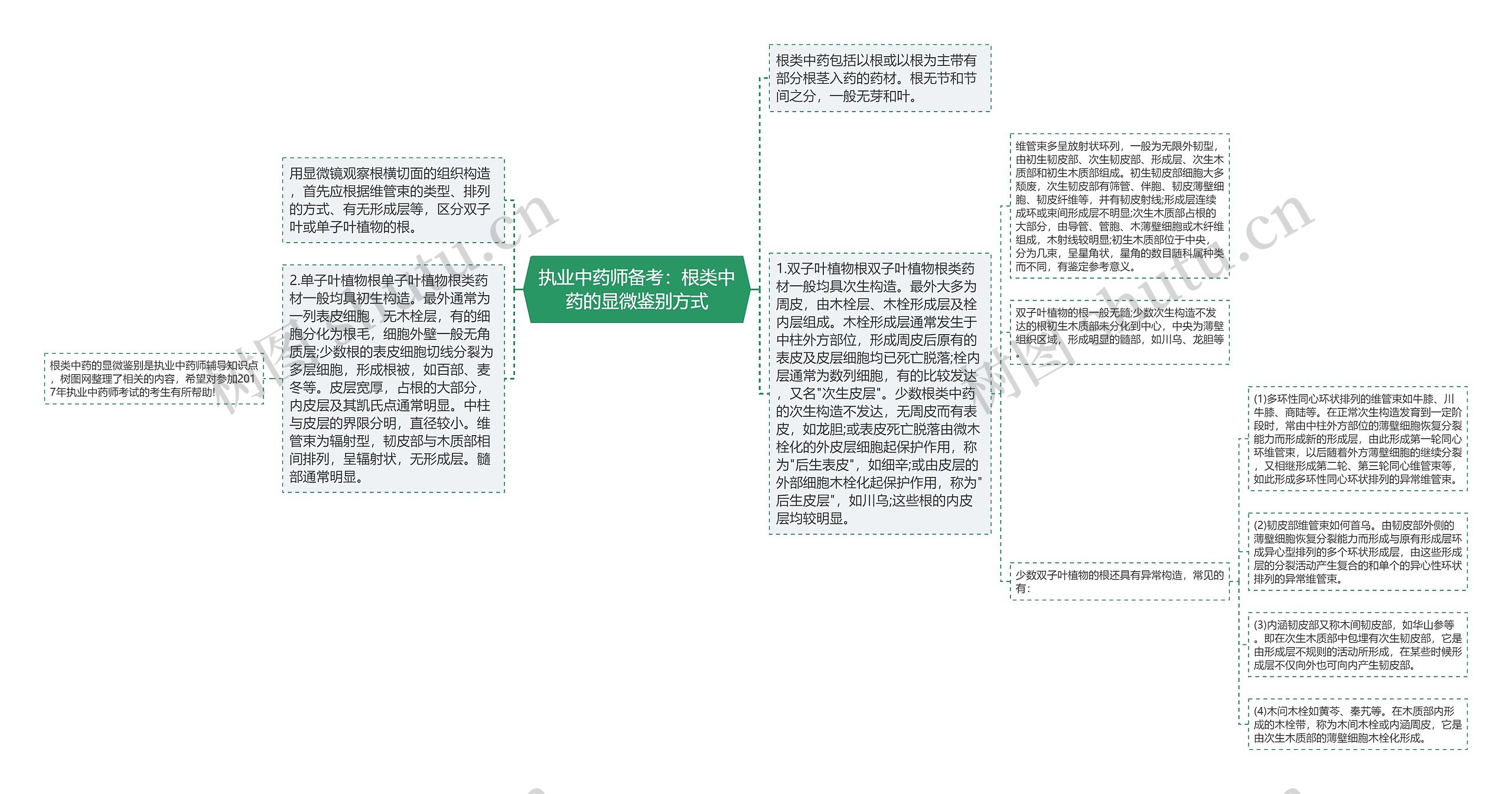 执业中药师备考：根类中药的显微鉴别方式