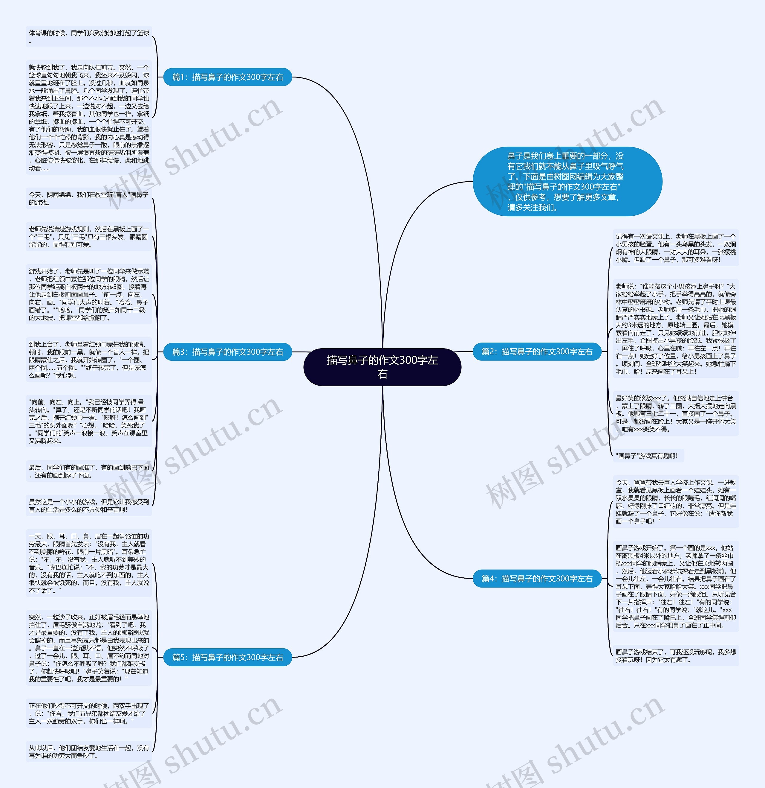描写鼻子的作文300字左右思维导图