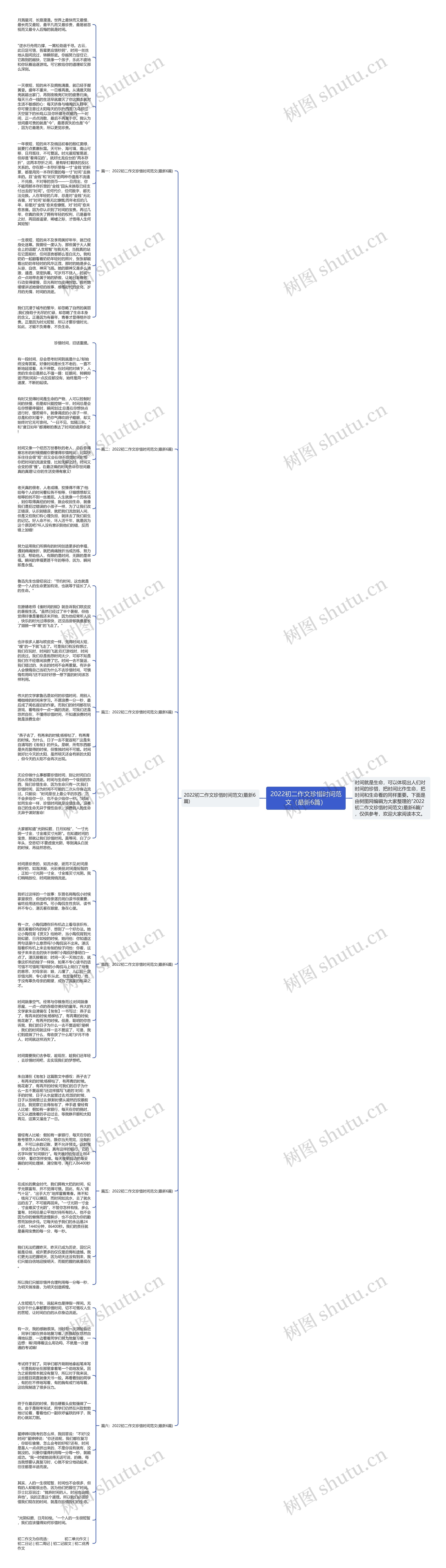 2022初二作文珍惜时间范文（最新6篇）思维导图