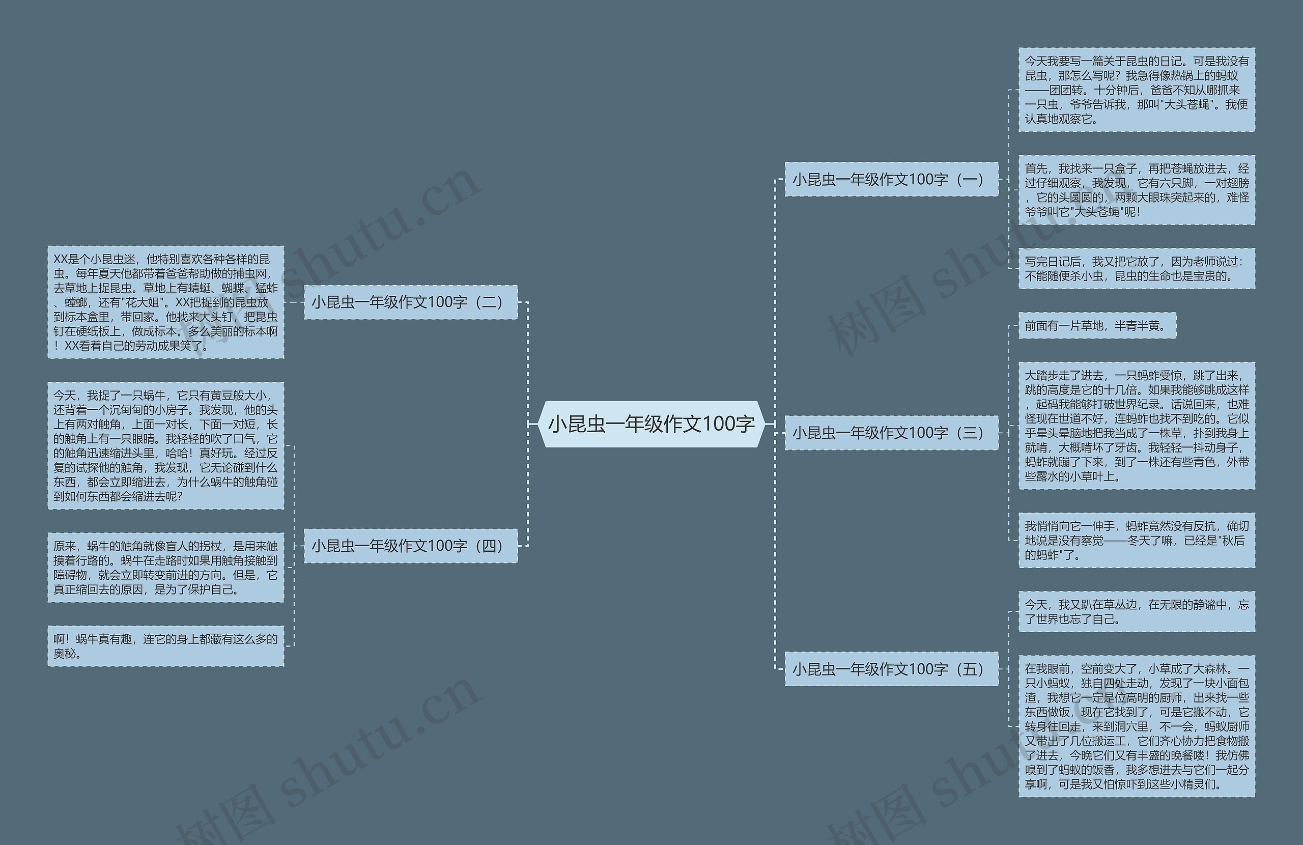 小昆虫一年级作文100字思维导图高清图 小昆虫一年级作文100字思维导图