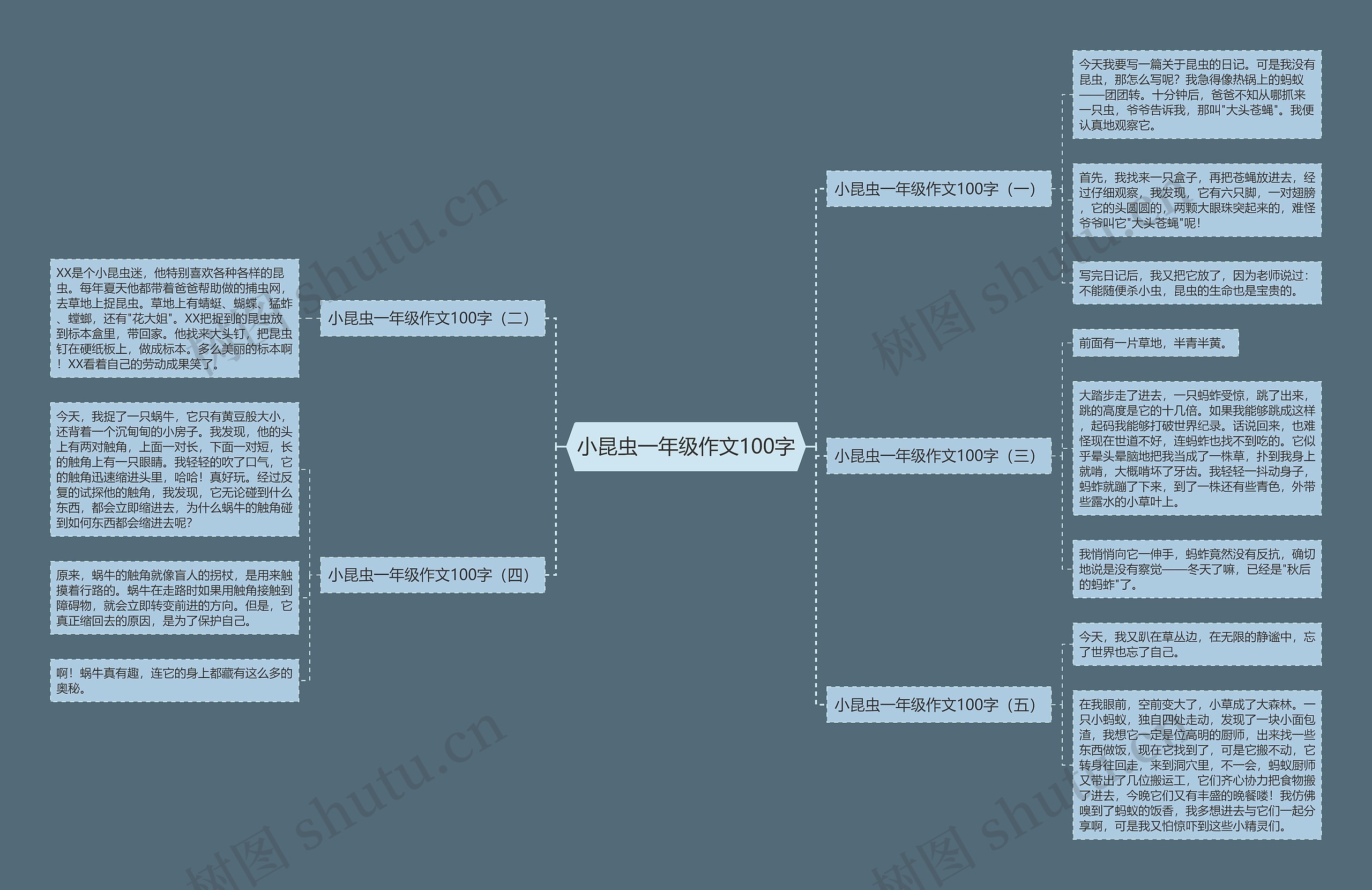 小昆虫一年级作文100字思维导图