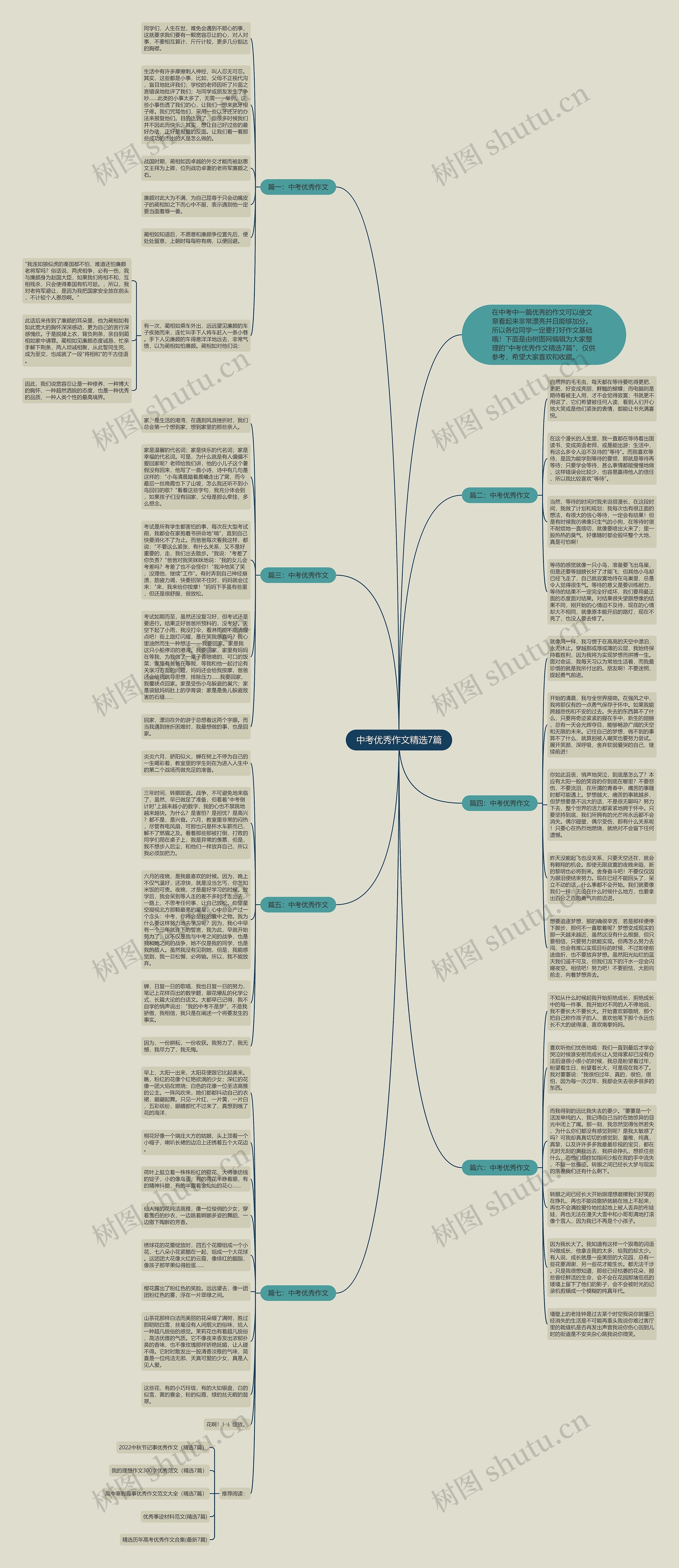 中考优秀作文精选7篇思维导图