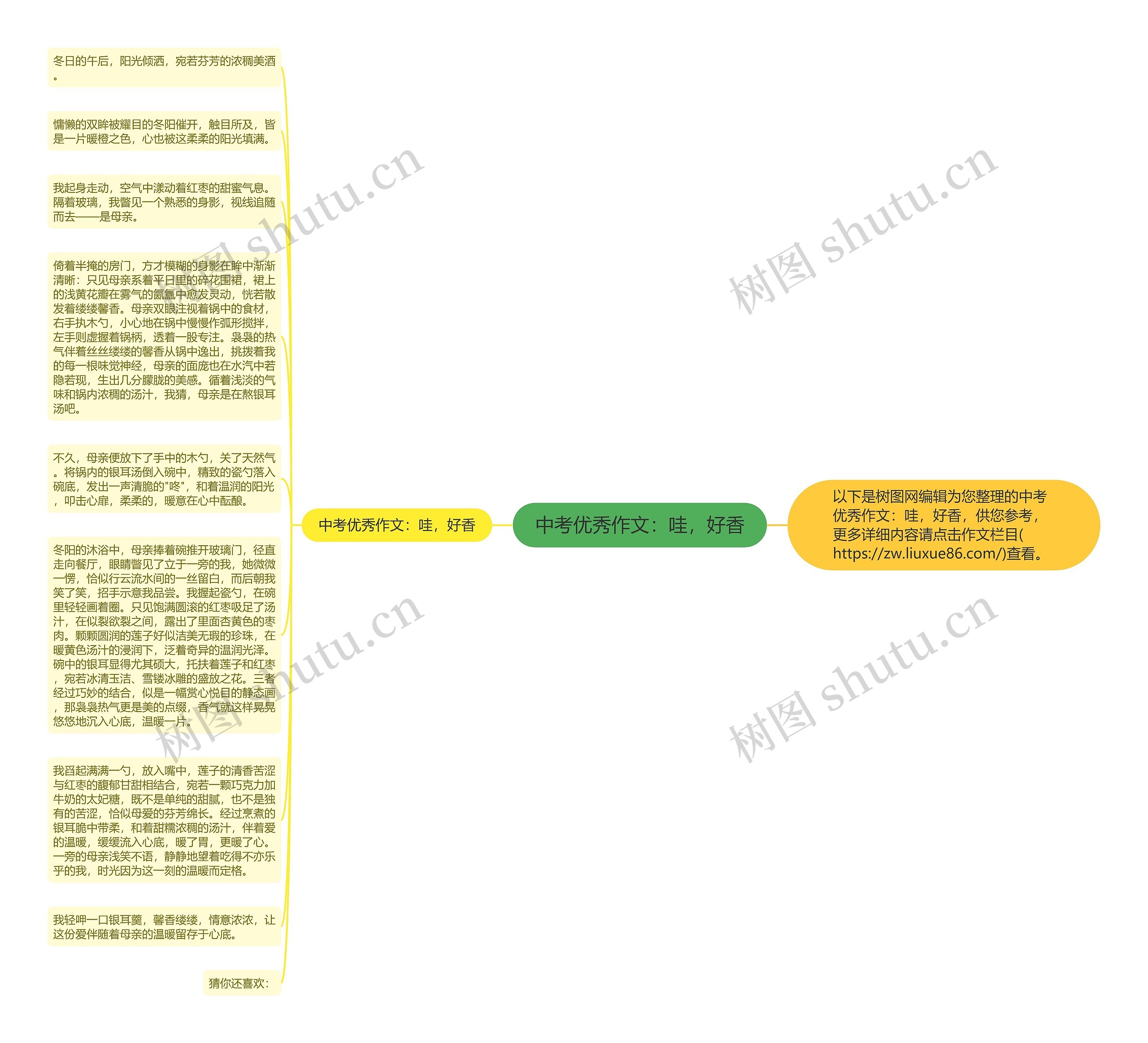 中考优秀作文：哇，好香思维导图