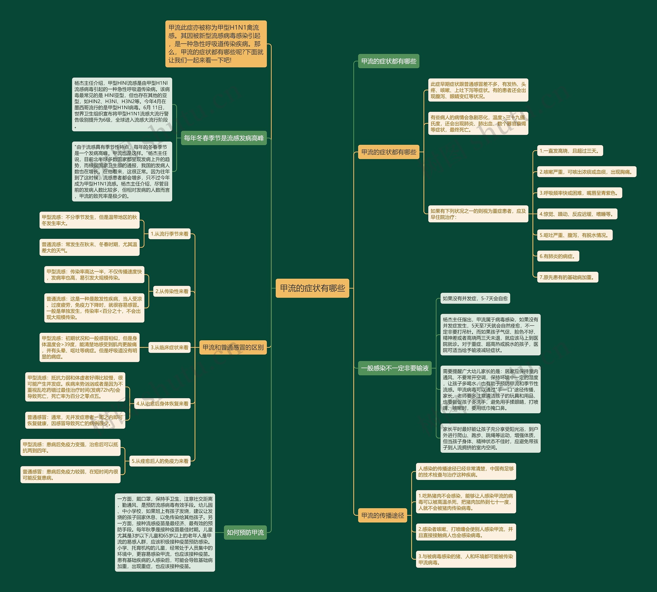 甲流的症状有哪些思维导图