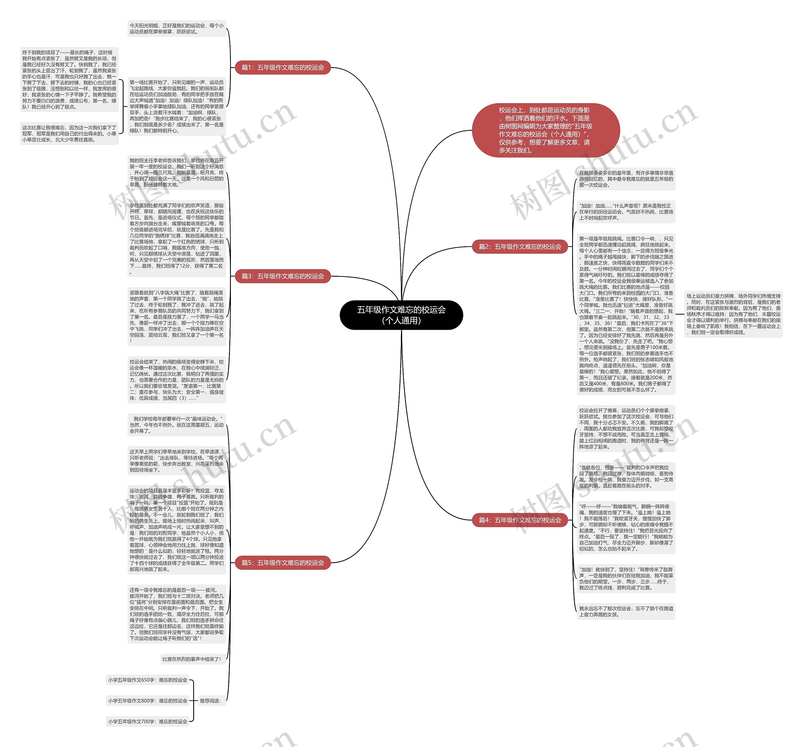 五年级作文难忘的校运会（个人通用）思维导图