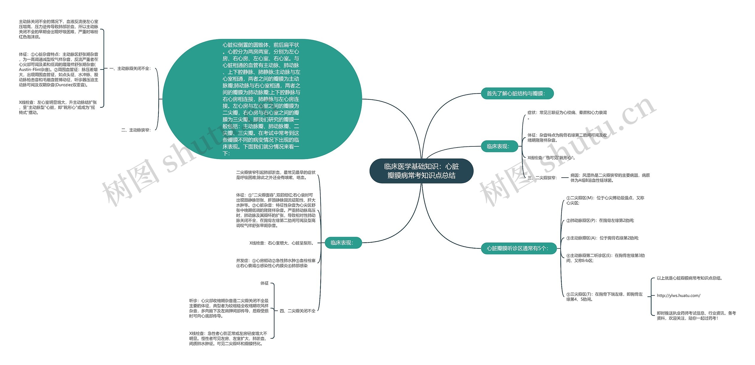 临床医学基础知识：心脏瓣膜病常考知识点总结思维导图