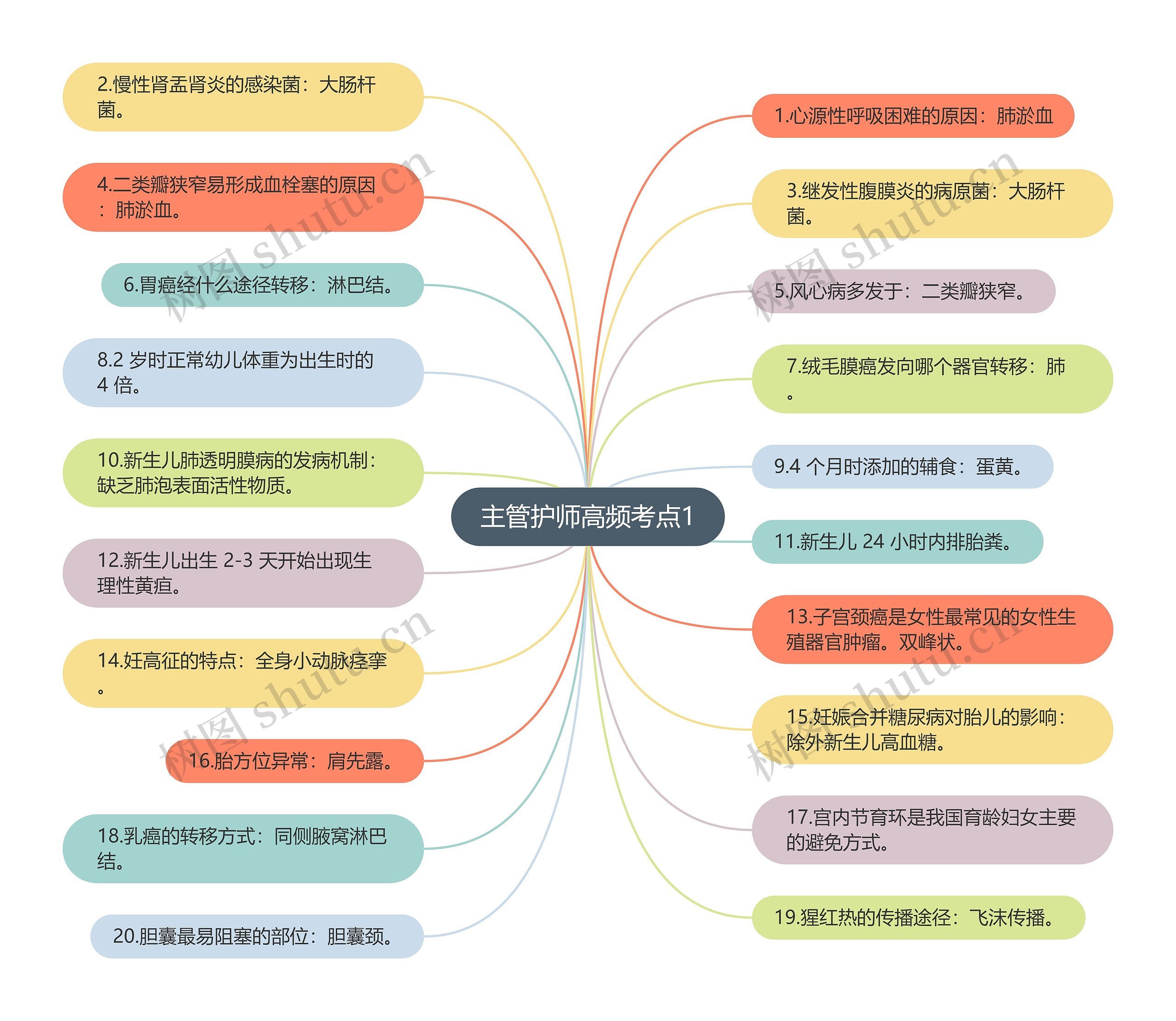 主管护师高频考点1