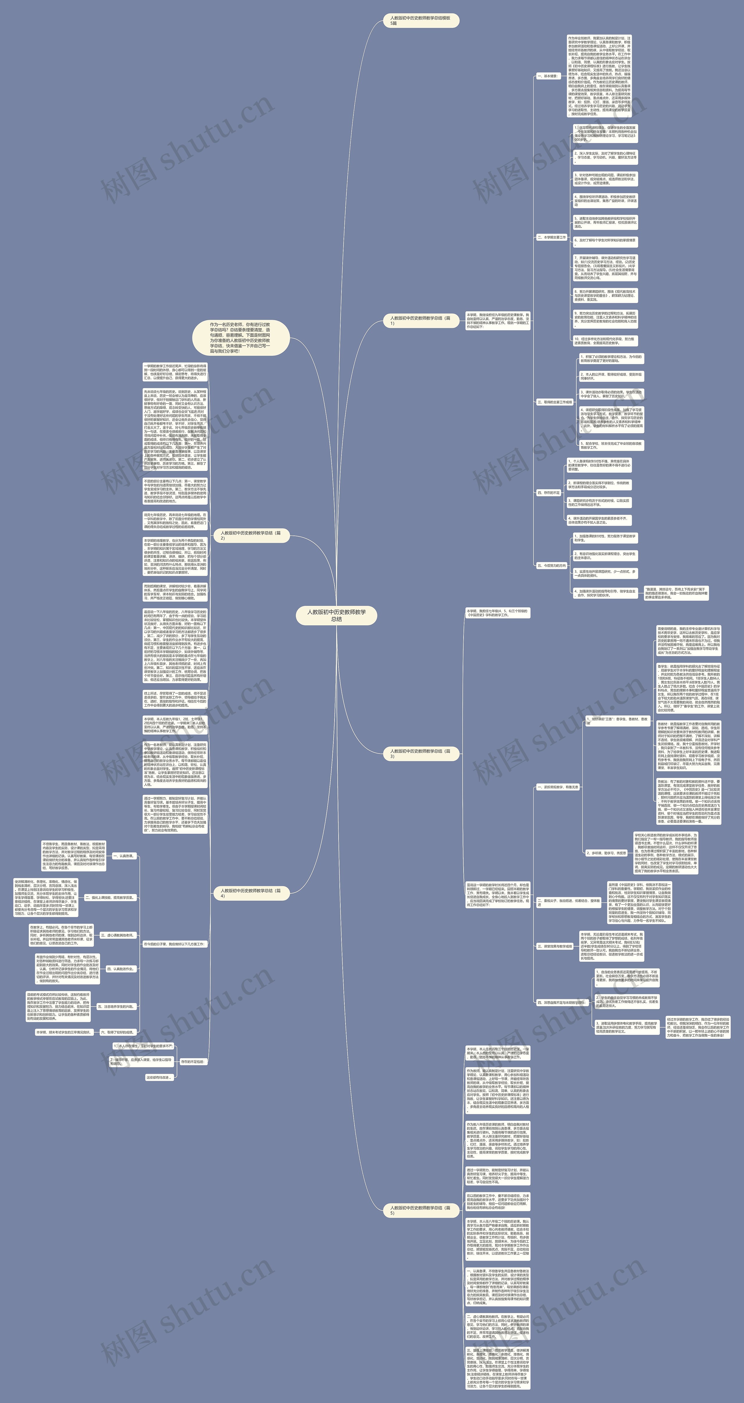 人教版初中历史教师教学总结思维导图
