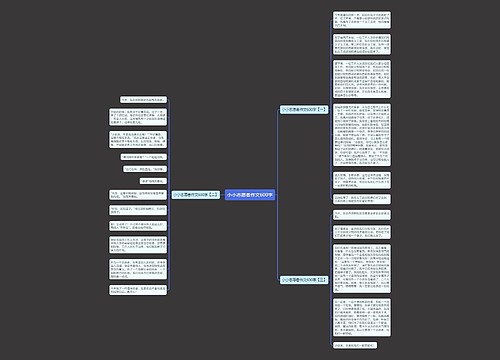 小小志愿者作文600字