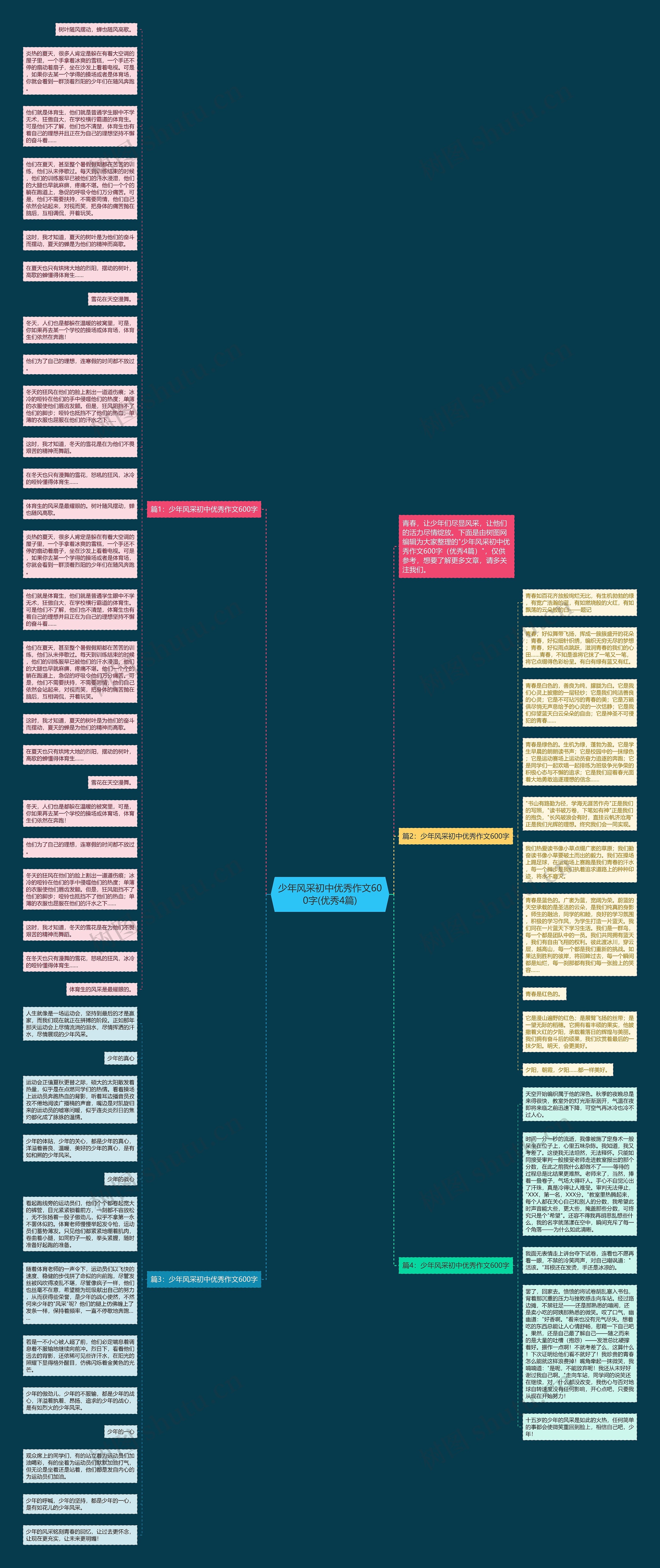 少年风采初中优秀作文600字(优秀4篇)思维导图