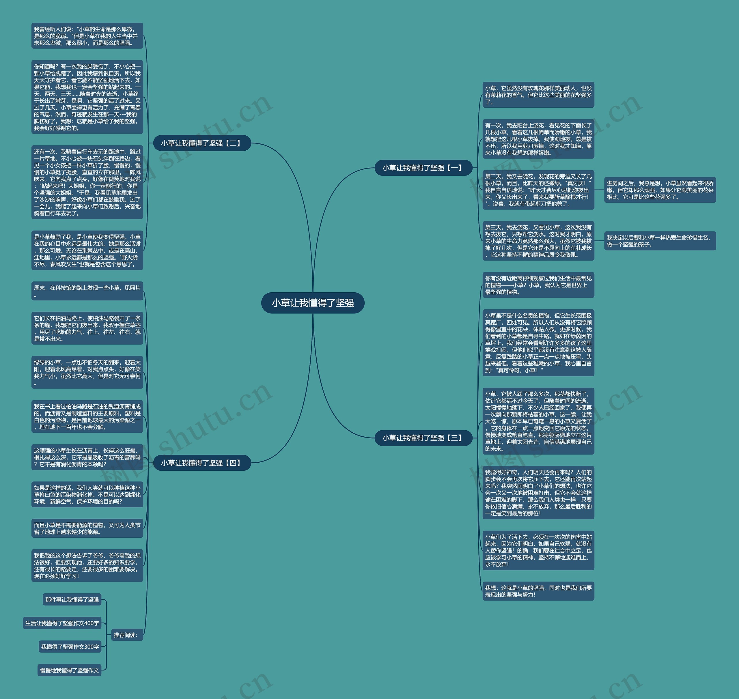 小草让我懂得了坚强思维导图