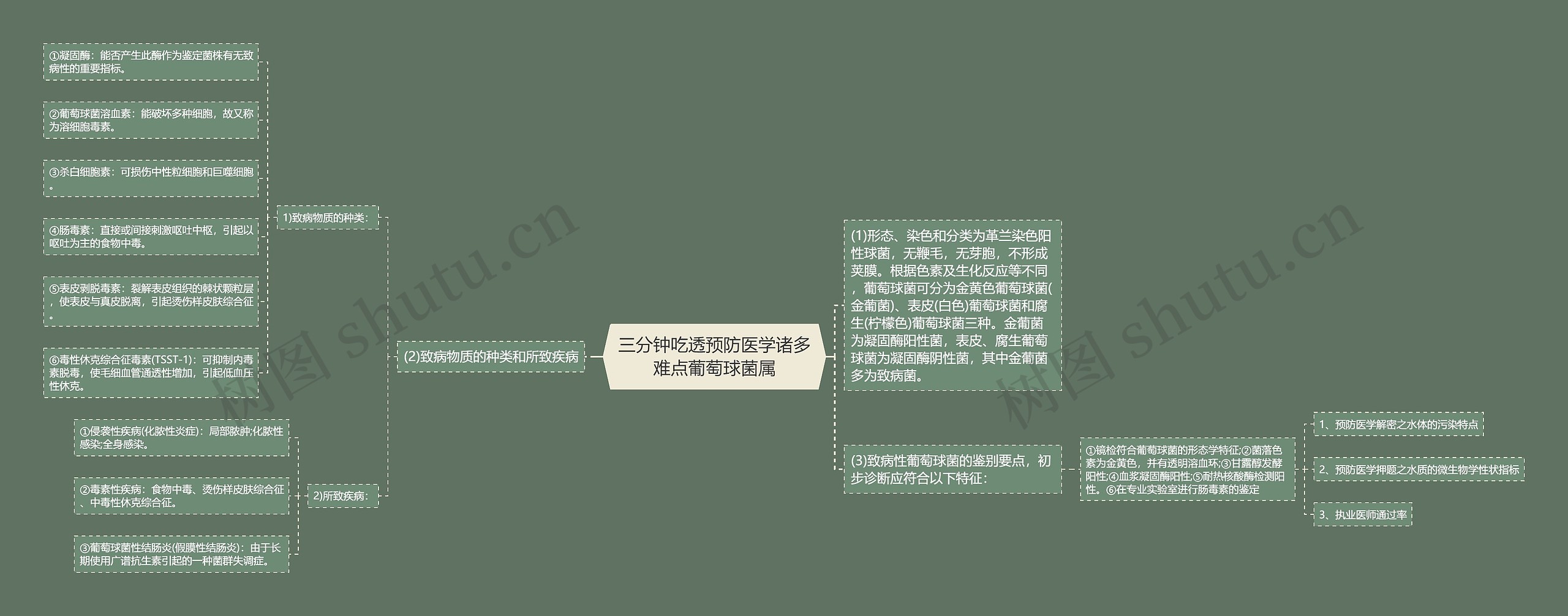 三分钟吃透预防医学诸多难点葡萄球菌属思维导图