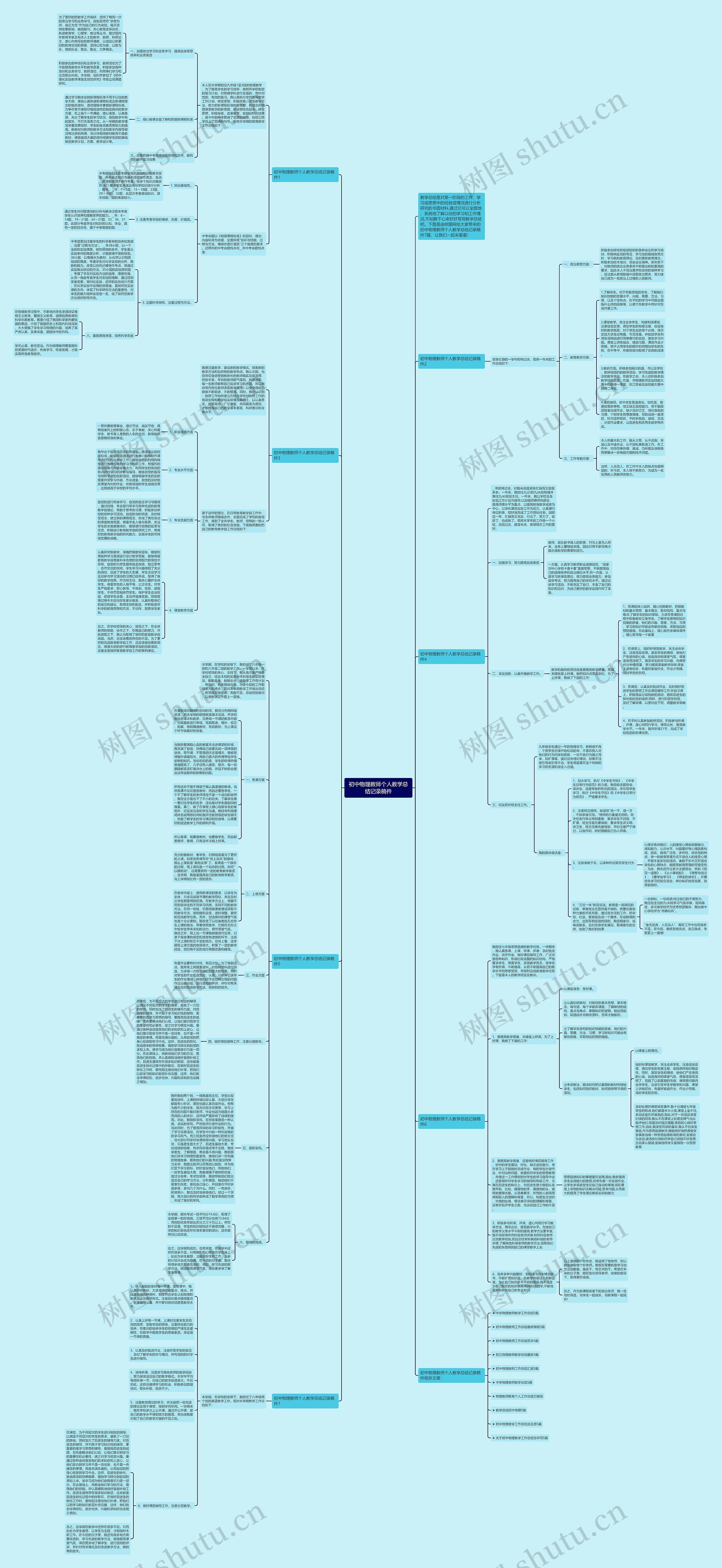 初中物理教师个人教学总结记录稿件思维导图