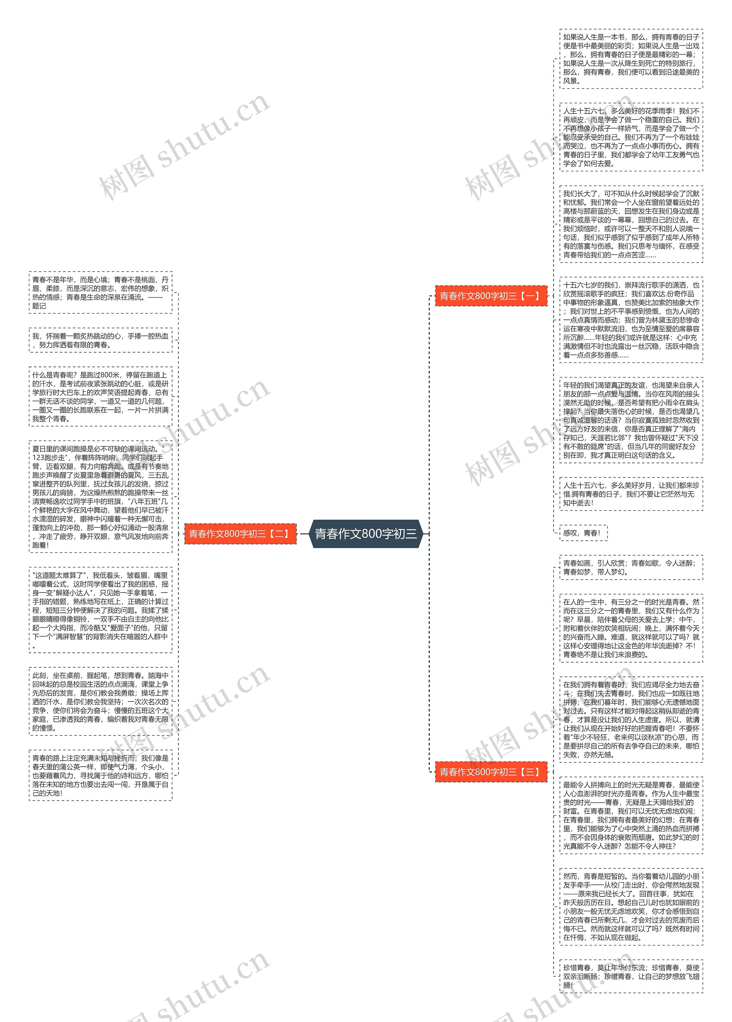 青春作文800字初三思维导图