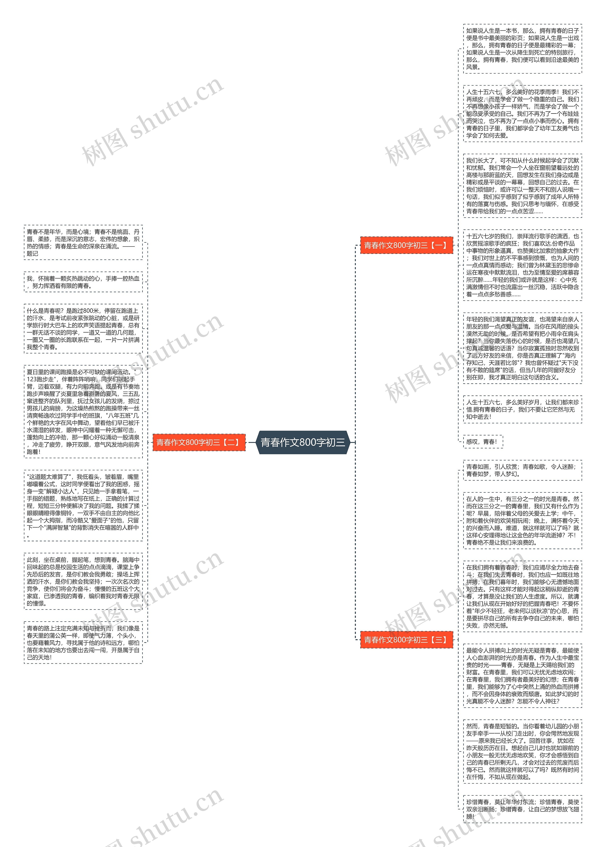 青春作文800字初三思维导图高清图 青春作文800字初三思维导图