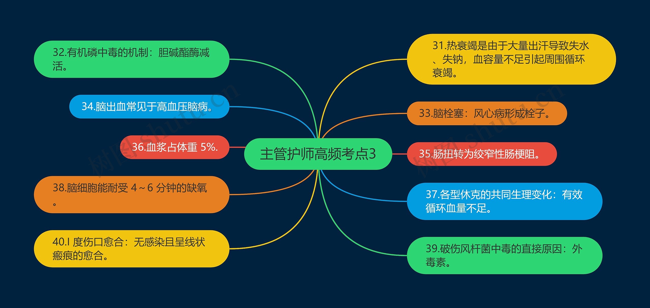 主管护师高频考点3思维导图