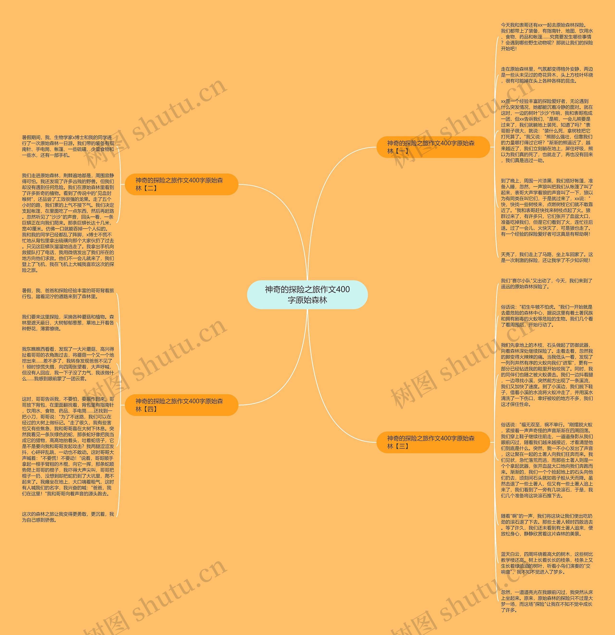 神奇的探险之旅作文400字原始森林思维导图