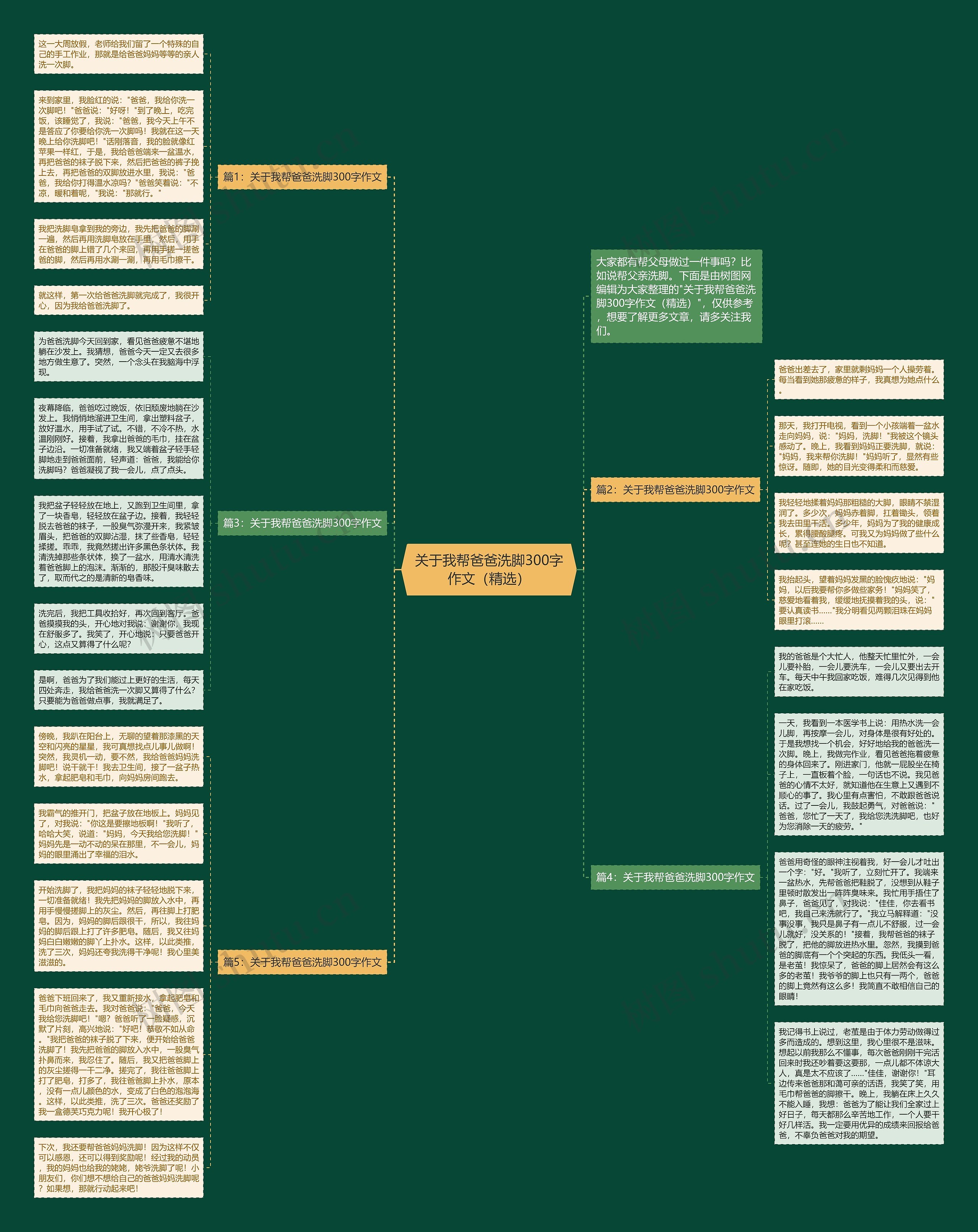 关于我帮爸爸洗脚300字作文（精选）思维导图