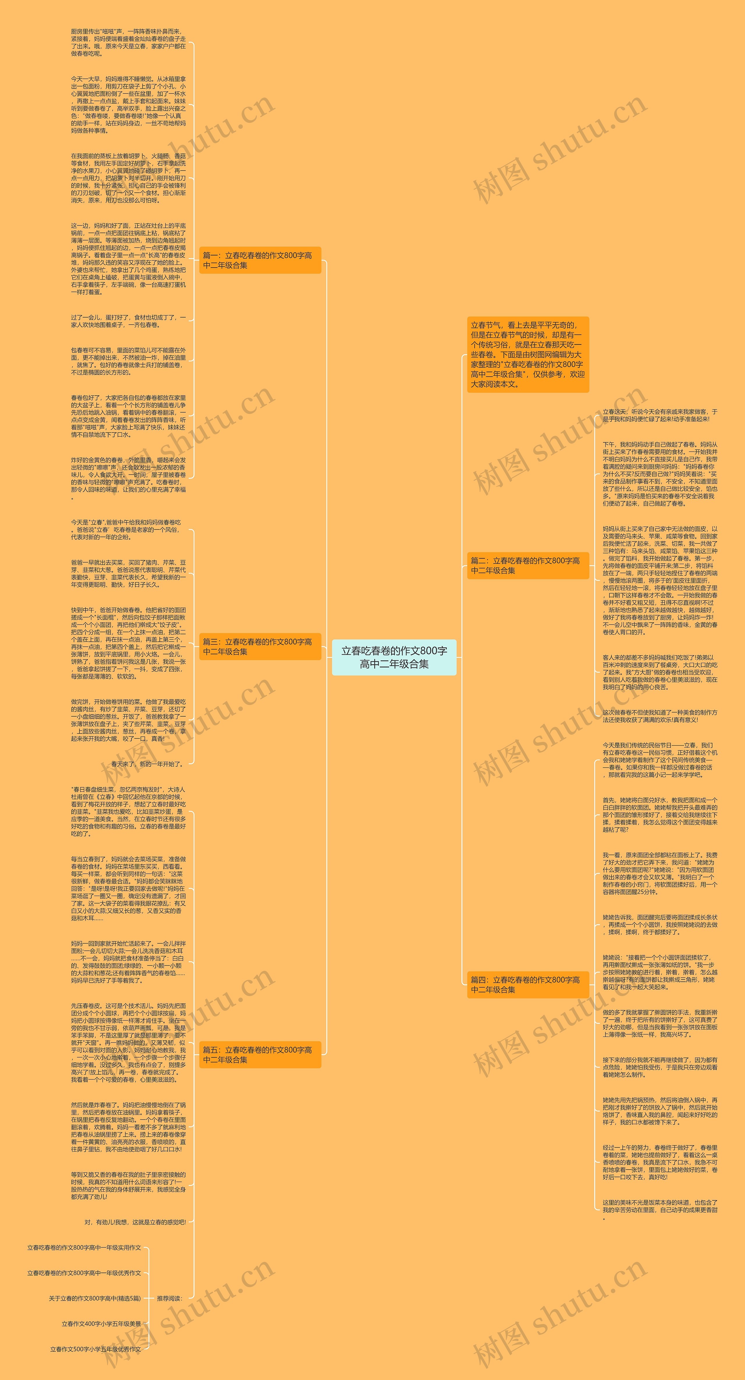 立春吃春卷的作文800字高中二年级合集思维导图