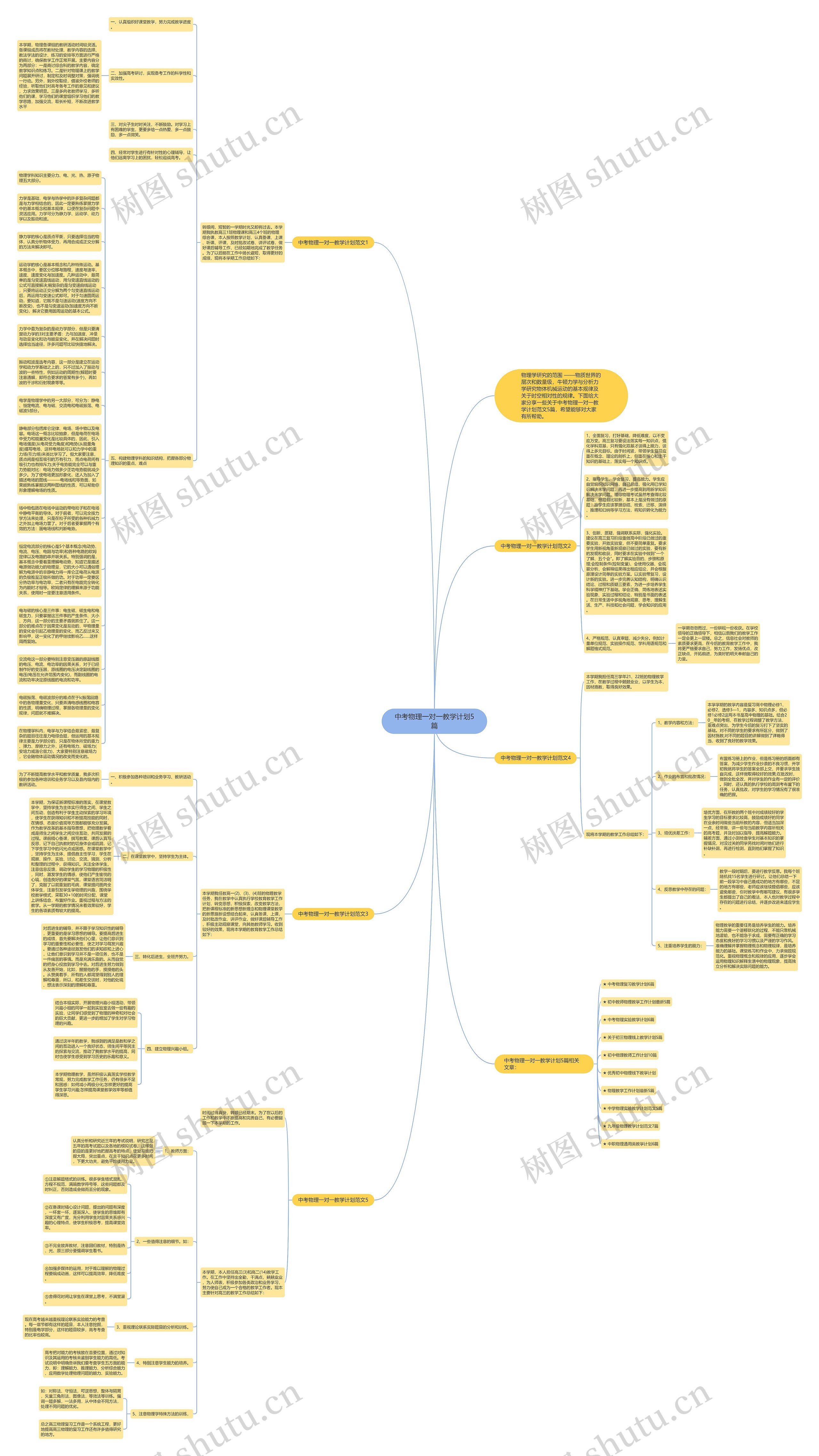 中考物理一对一教学计划5篇思维导图