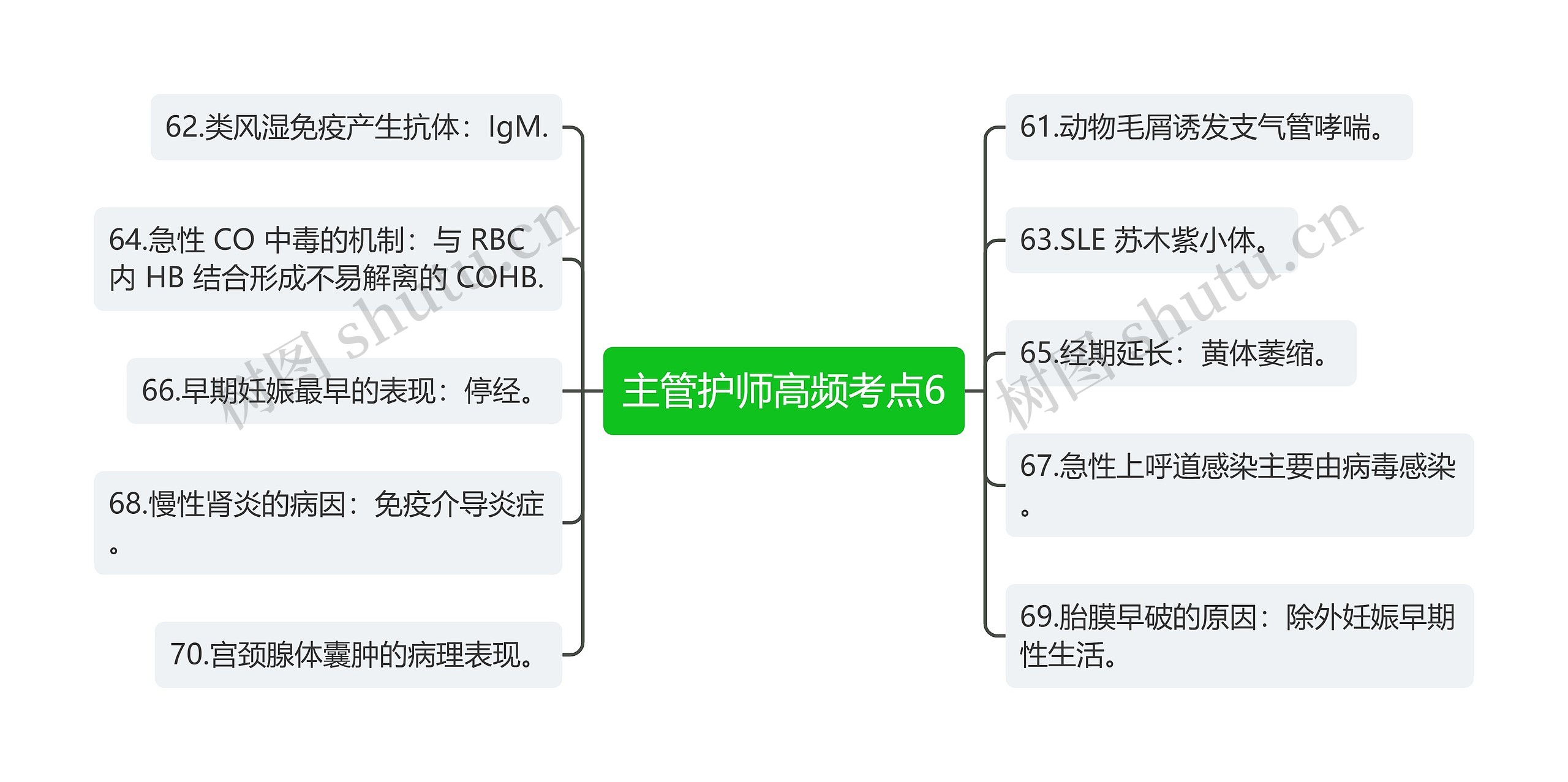 主管护师高频考点6思维导图