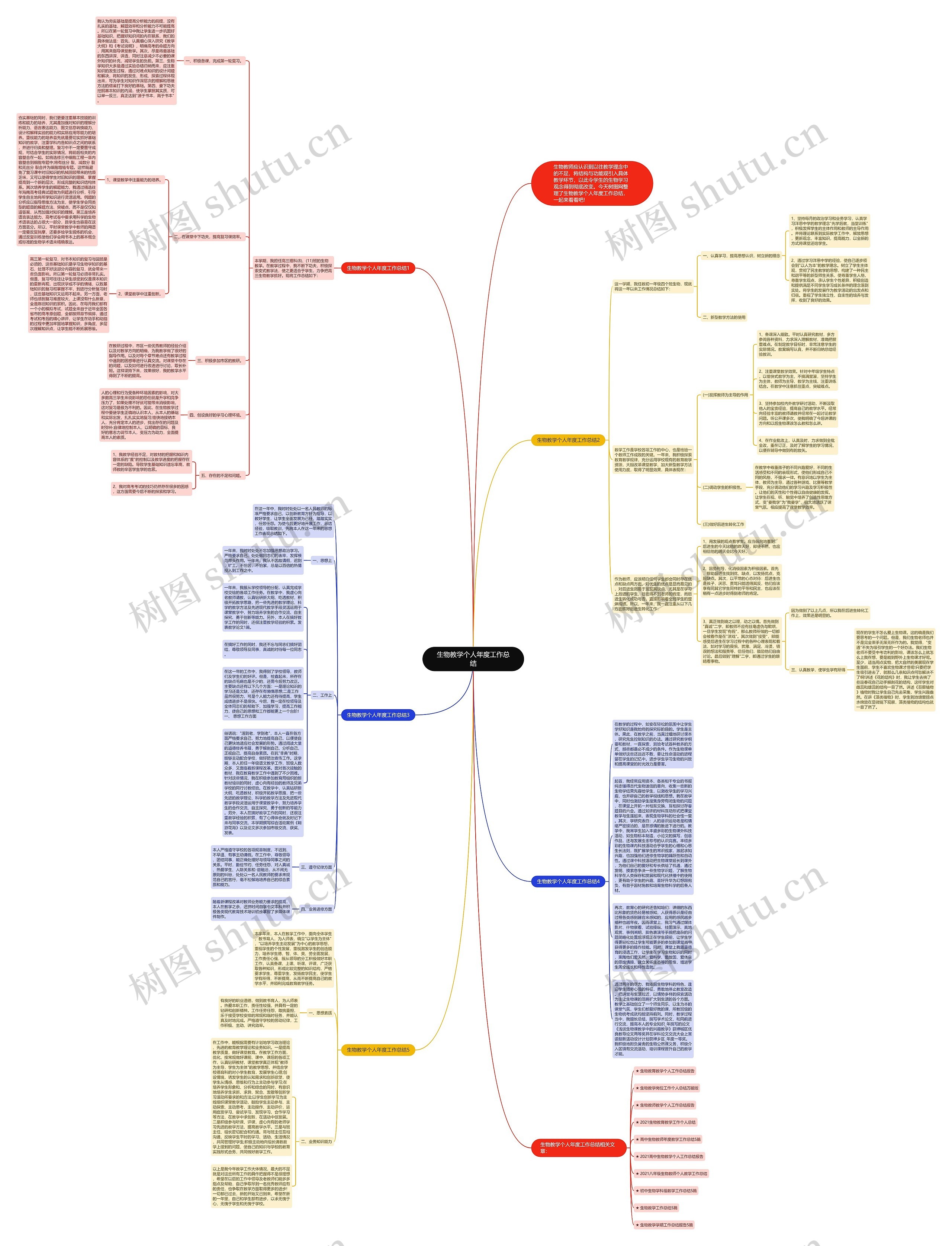 生物教学个人年度工作总结思维导图