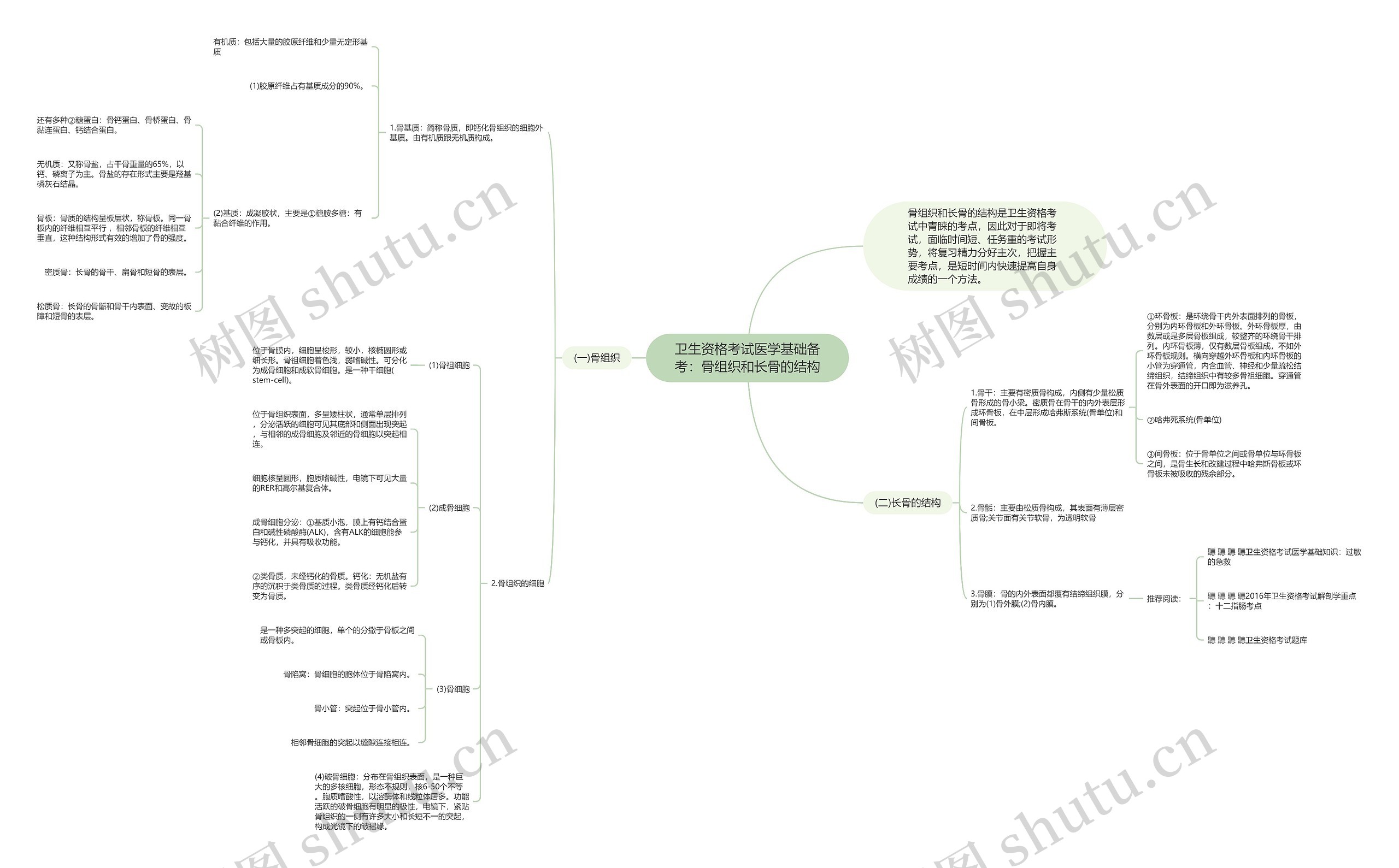 卫生资格考试医学基础备考：骨组织和长骨的结构思维导图