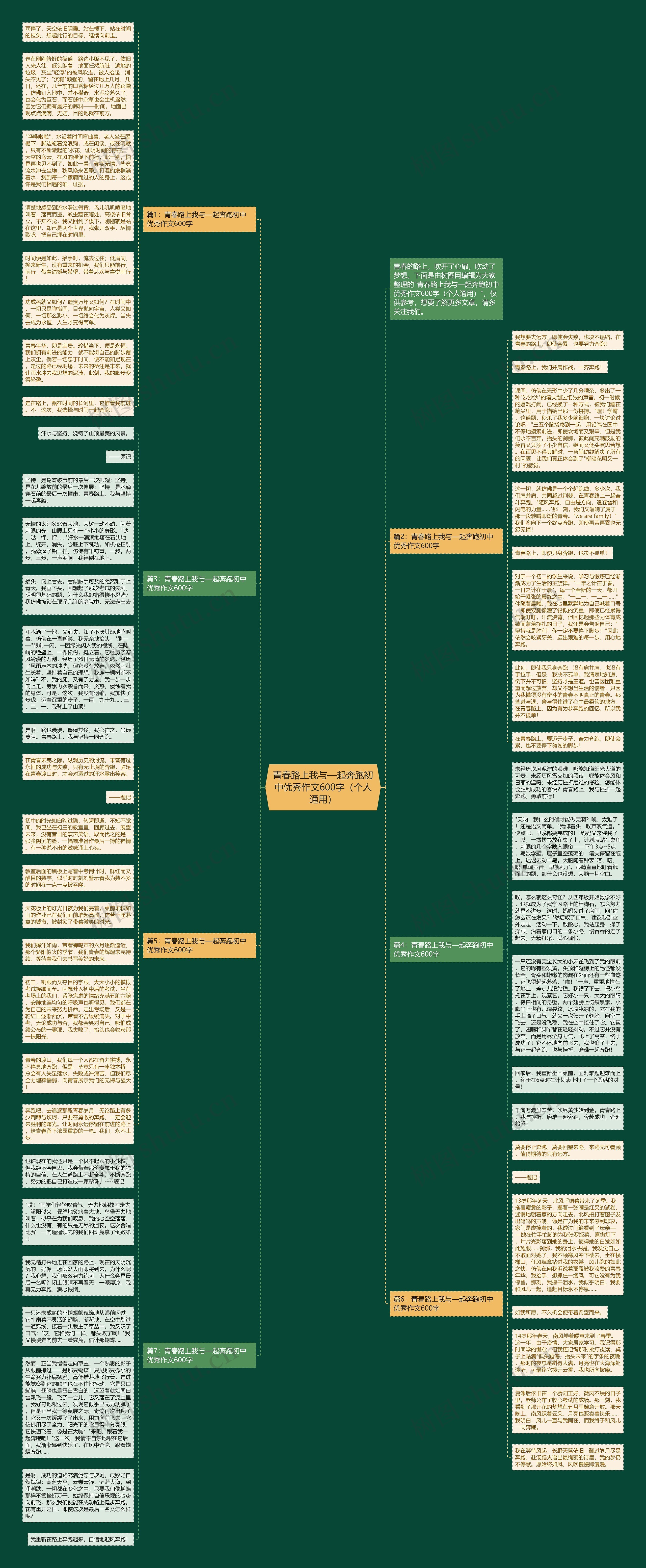 青春路上我与—起奔跑初中优秀作文600字（个人通用）