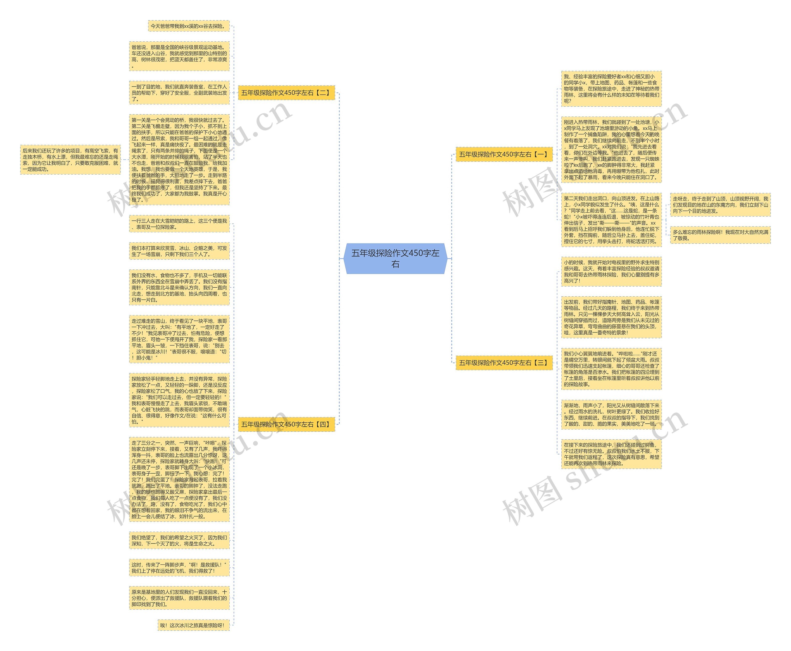 五年级探险作文450字左右思维导图