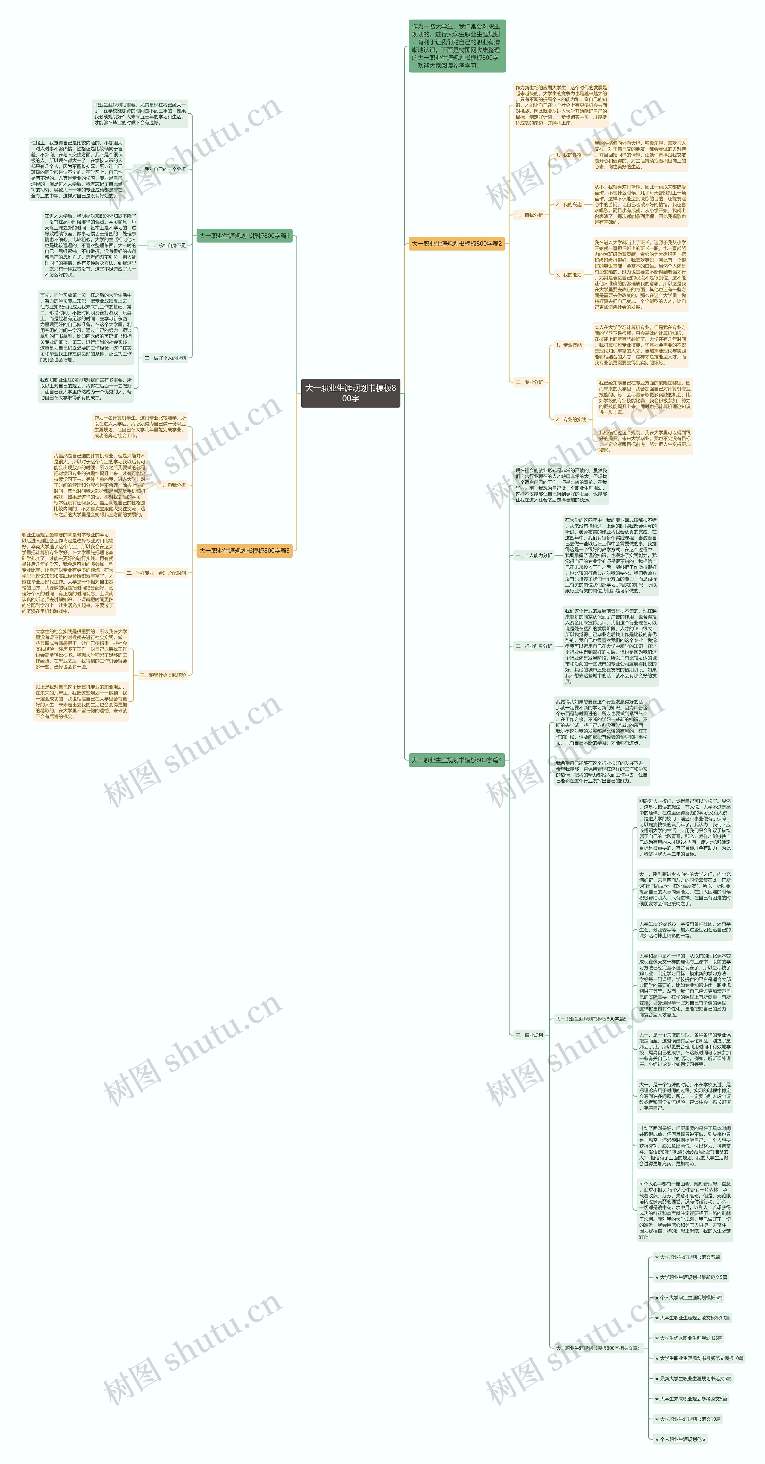 大一职业生涯规划书800字思维导图