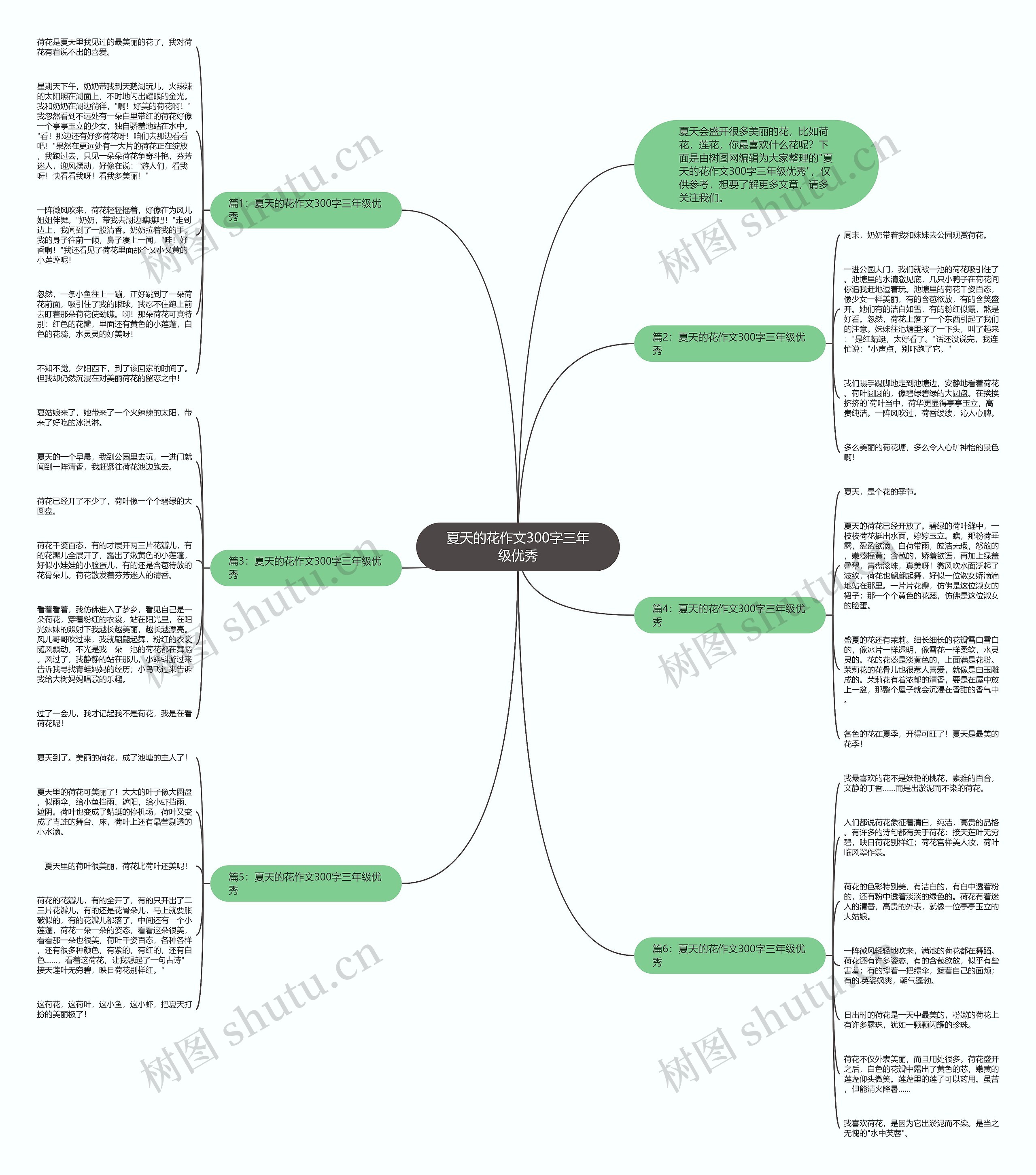 夏天的花作文300字三年级优秀思维导图