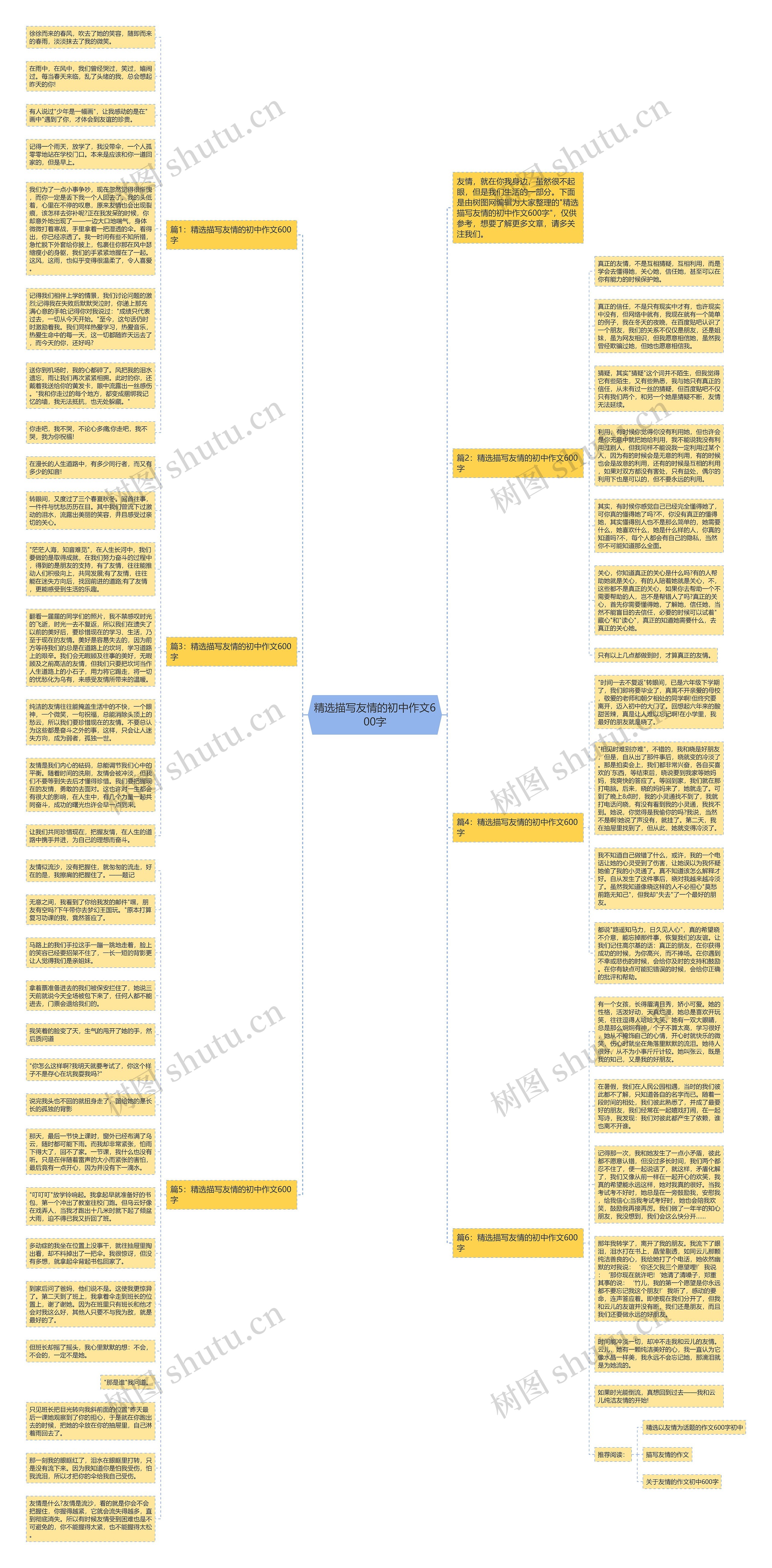 精选描写友情的初中作文600字思维导图