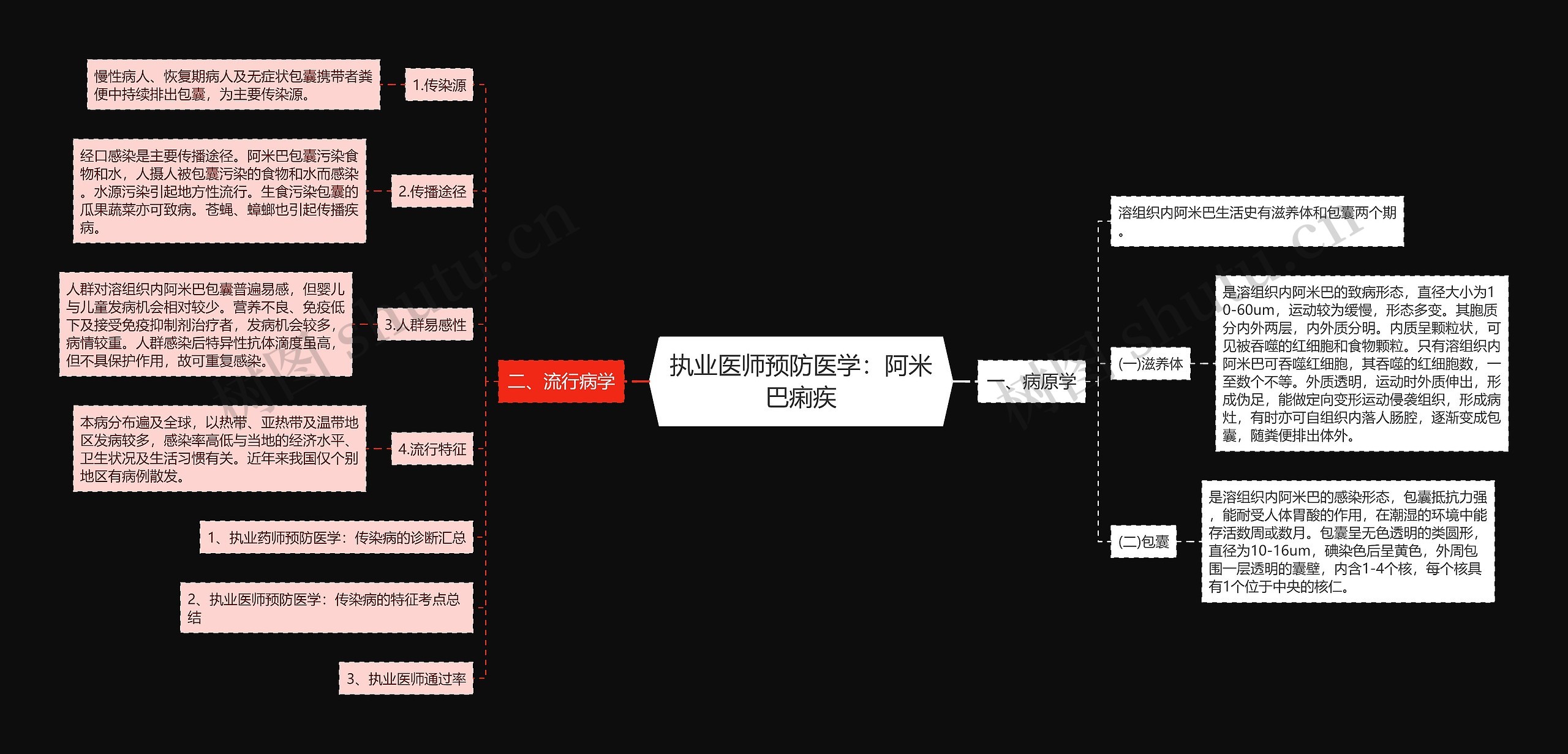 执业医师预防医学：阿米巴痢疾