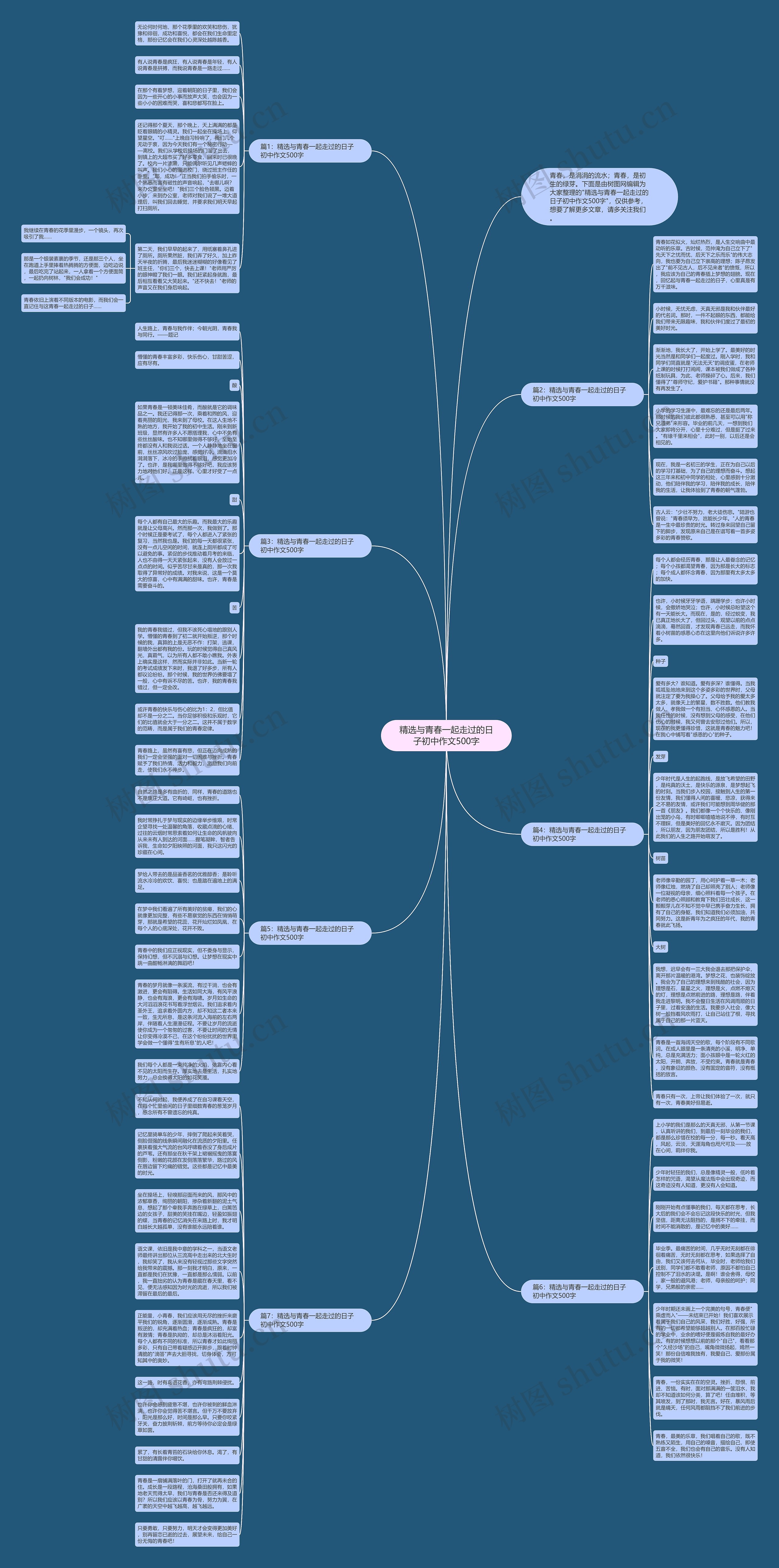 精选与青春一起走过的日子初中作文500字思维导图