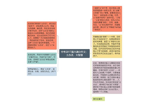 中考2017嘉兴满分作文：土办法，大智慧