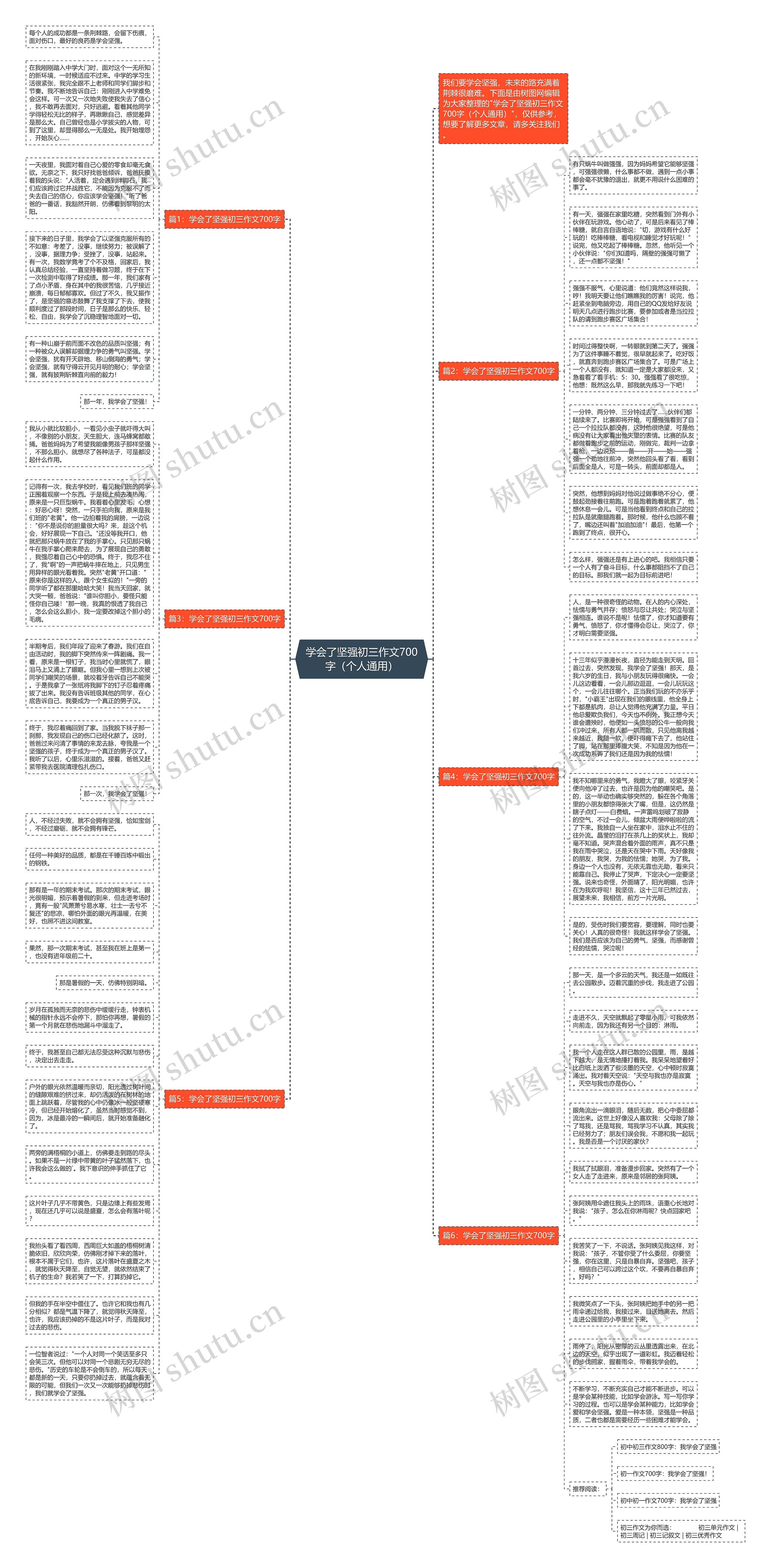 学会了坚强初三作文700字（个人通用）思维导图