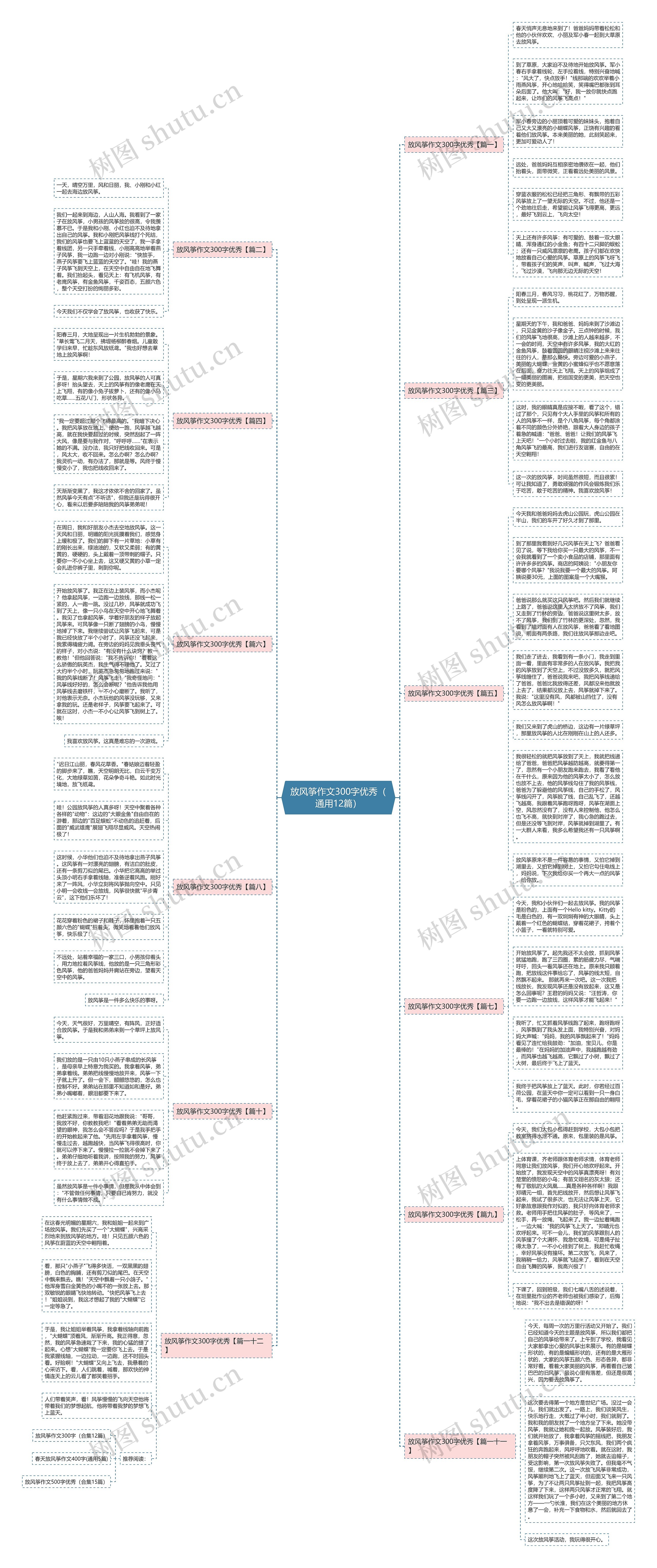 放风筝作文300字优秀（通用12篇）思维导图