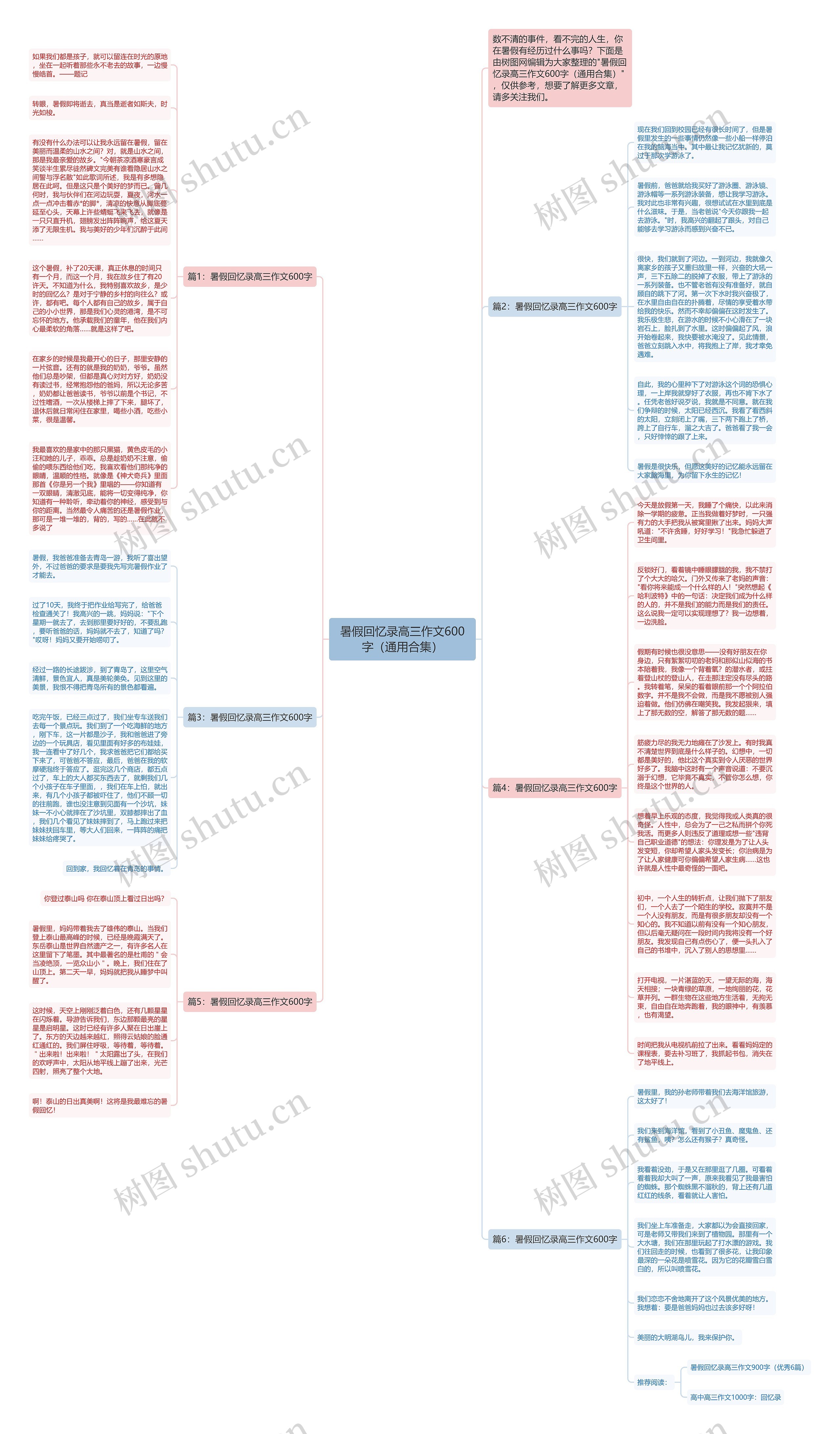 暑假回忆录高三作文600字（通用合集）思维导图