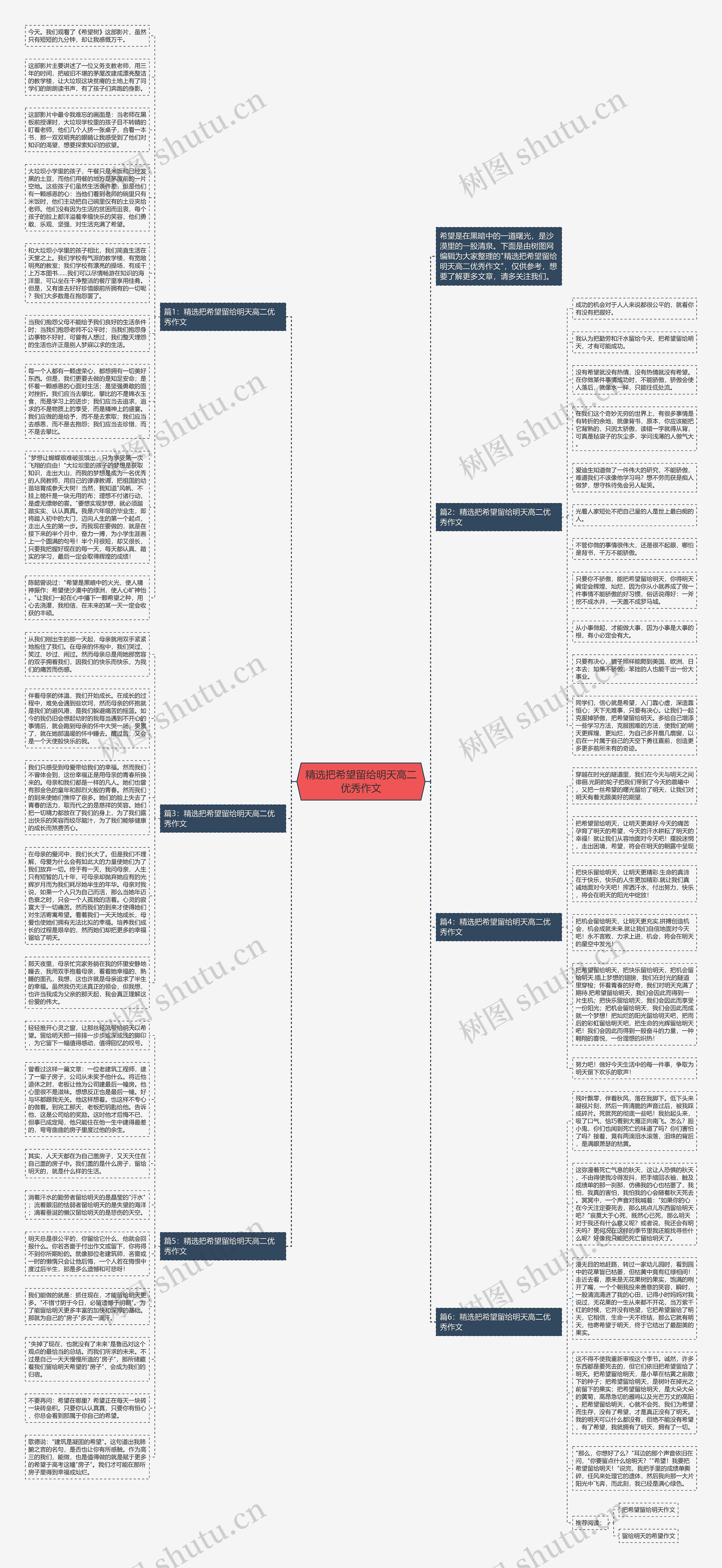 精选把希望留给明天高二优秀作文思维导图