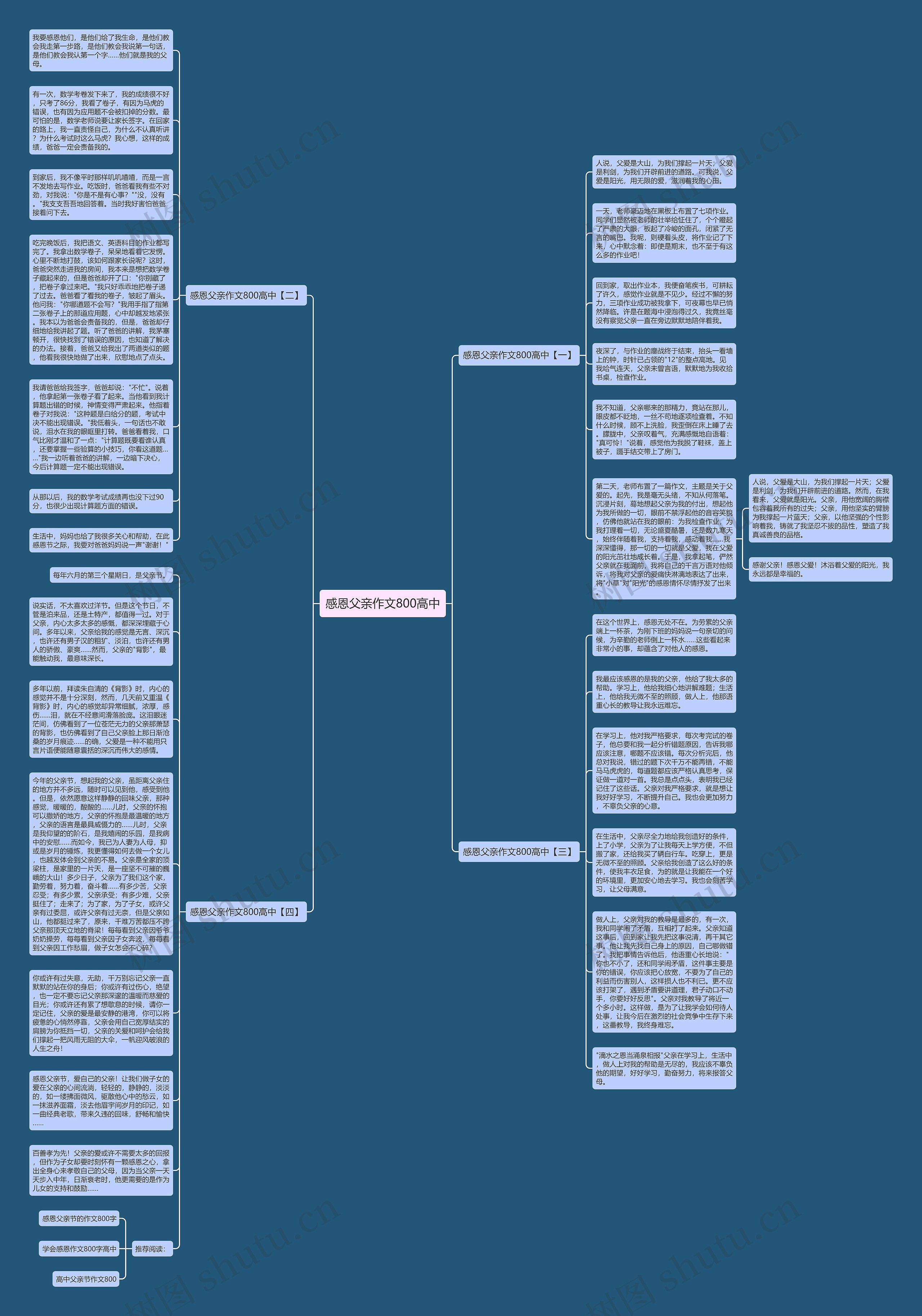 感恩父亲作文800高中思维导图