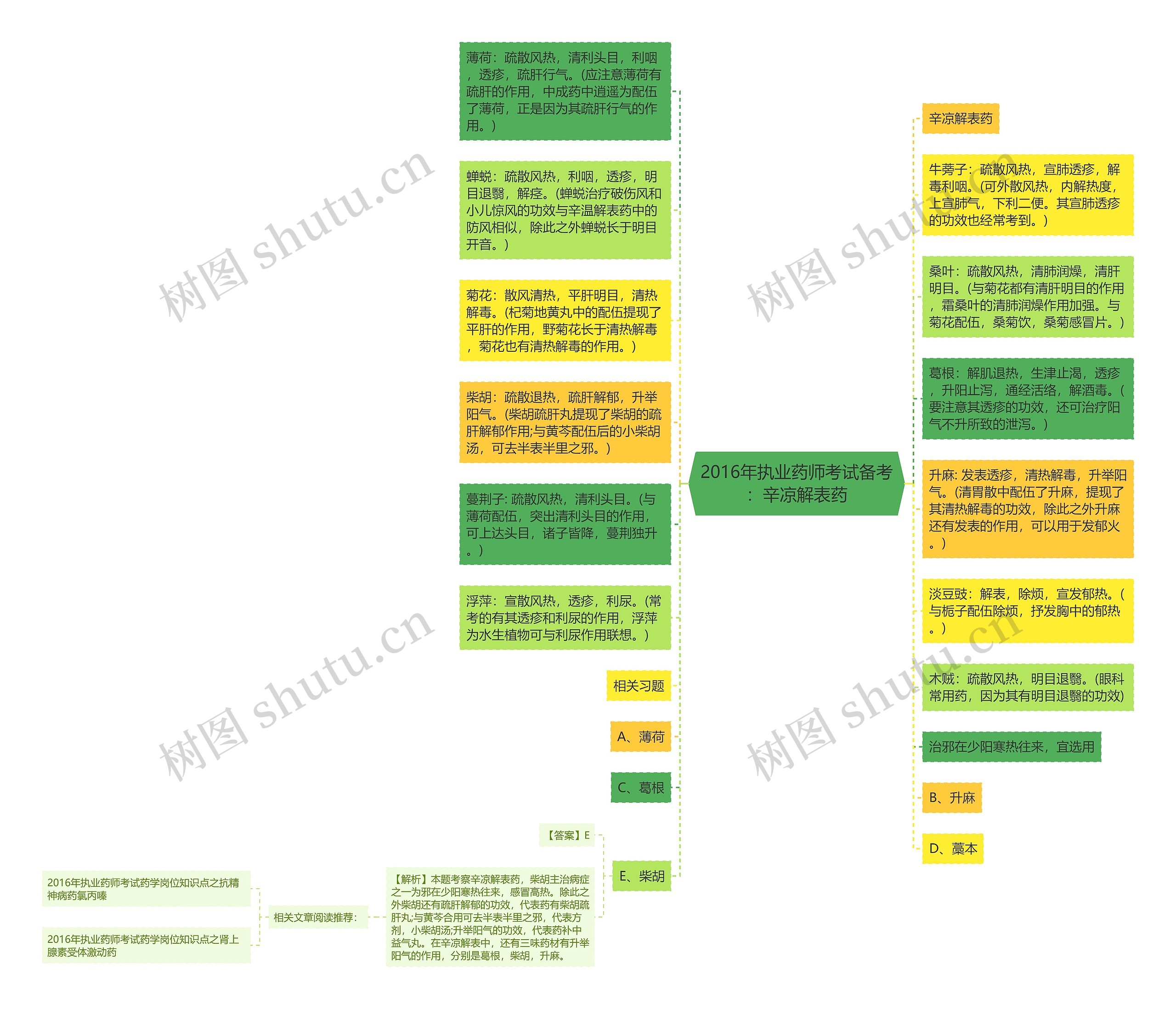 2016年执业药师考试备考：辛凉解表药思维导图