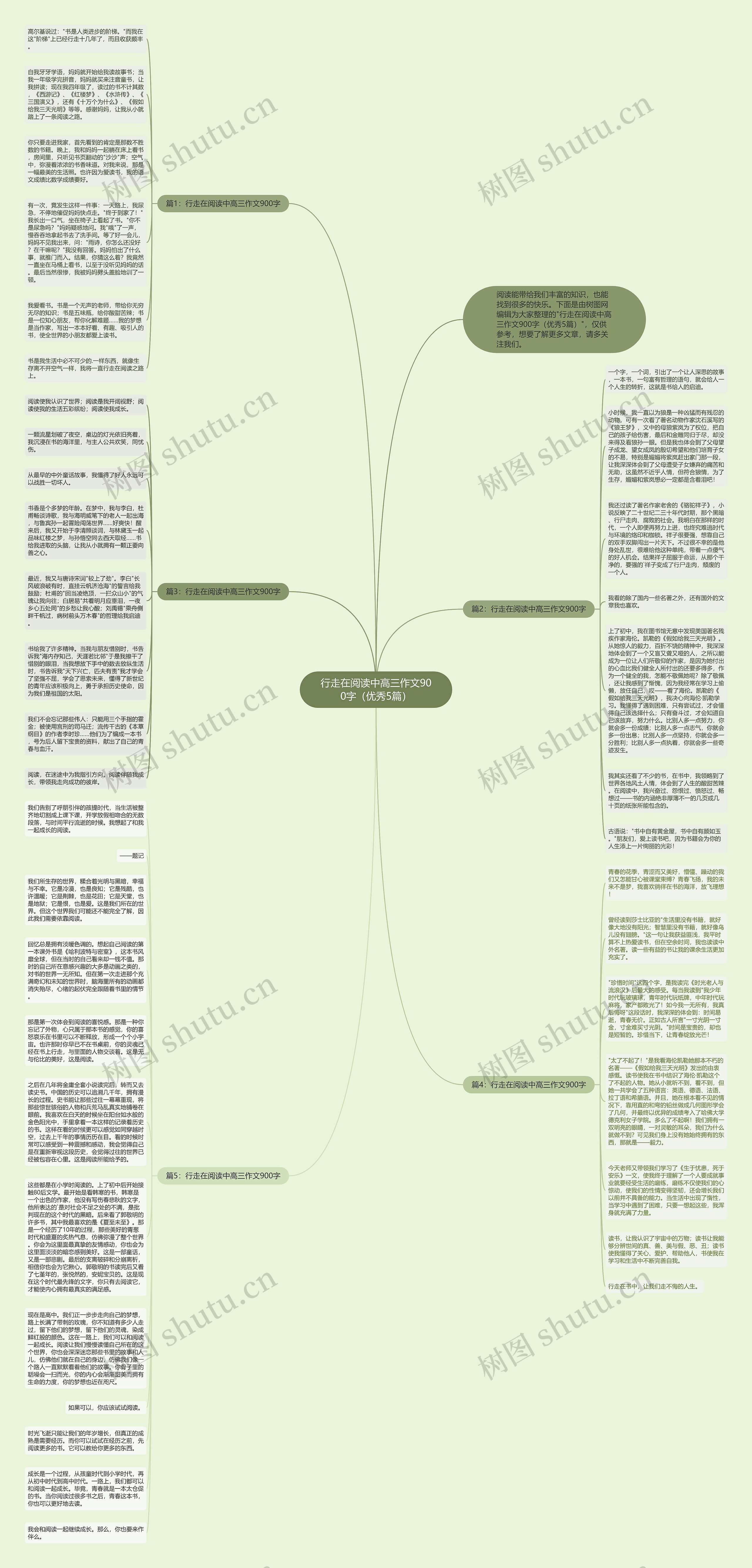 行走在阅读中高三作文900字（优秀5篇）思维导图